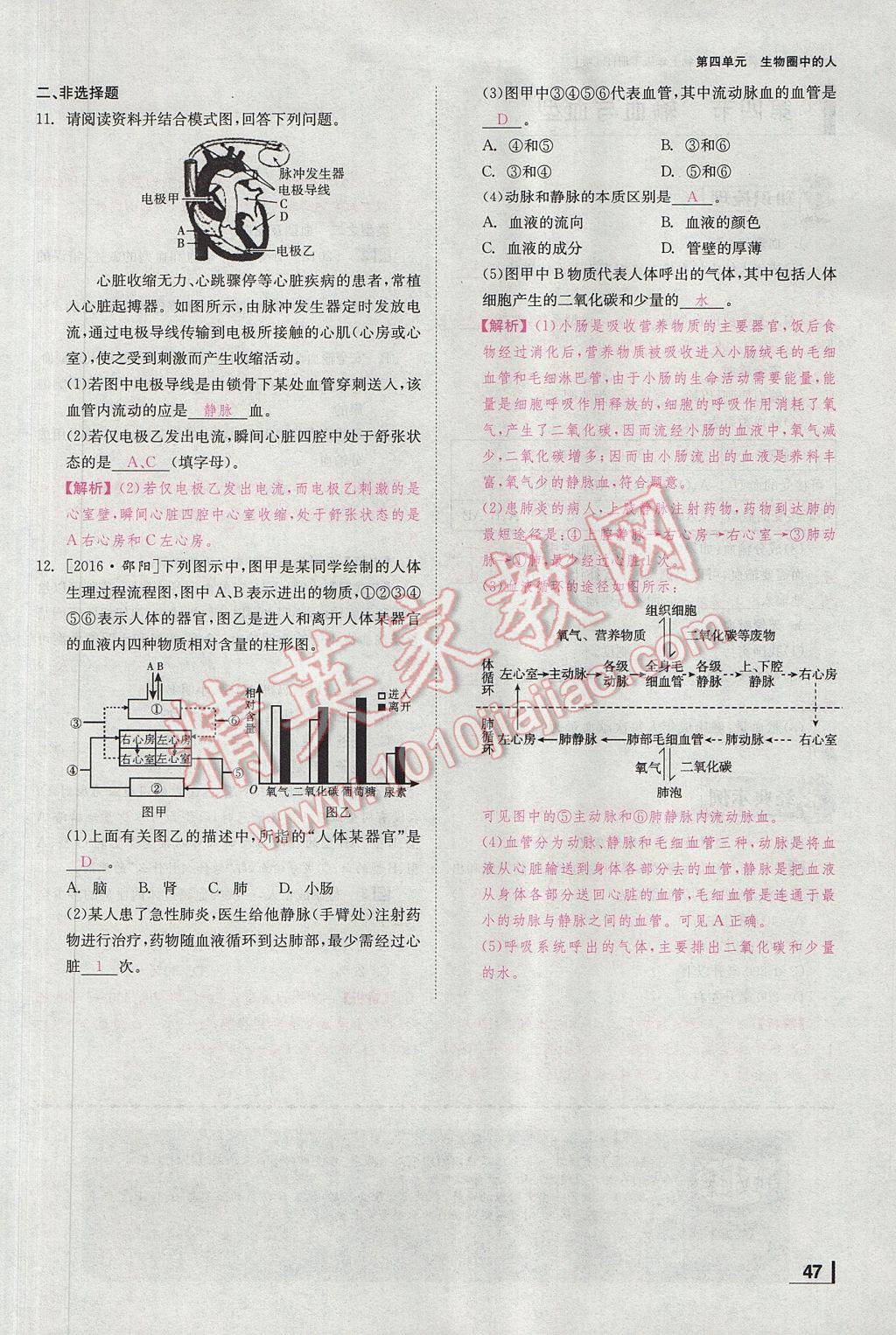 2017年全效學(xué)習(xí)七年級生物下冊人教版 第四章 人體內(nèi)物質(zhì)的運算第112頁