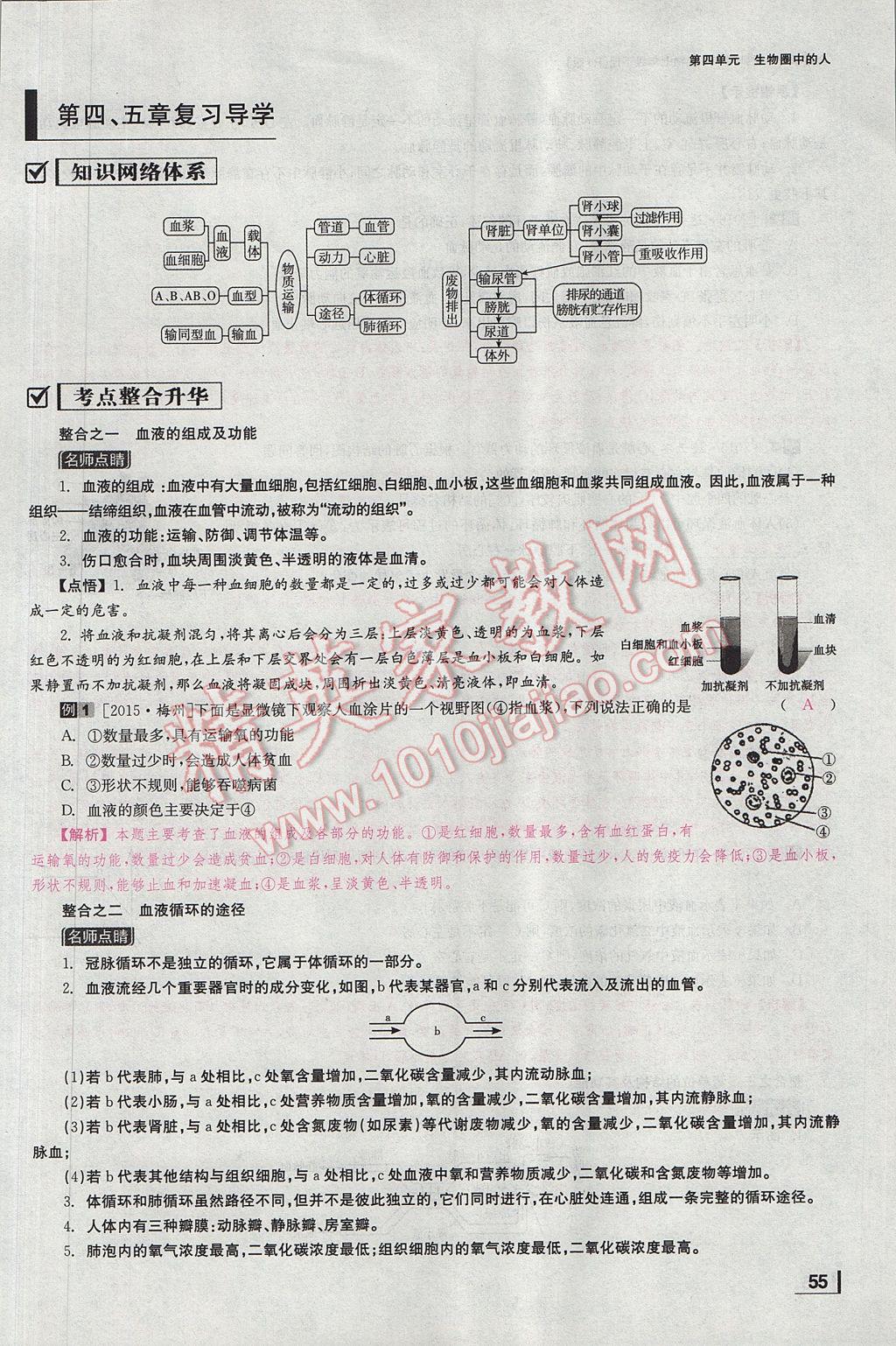 2017年全效學(xué)習(xí)七年級生物下冊人教版 第五章 人體內(nèi)廢物的排出第82頁