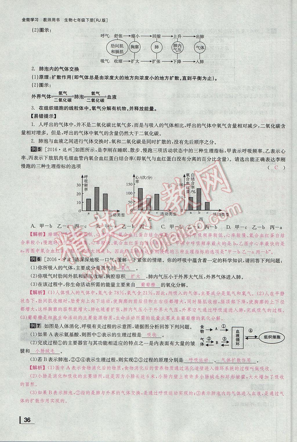 2017年全效學(xué)習(xí)七年級生物下冊人教版 第三章 人體的呼吸第62頁