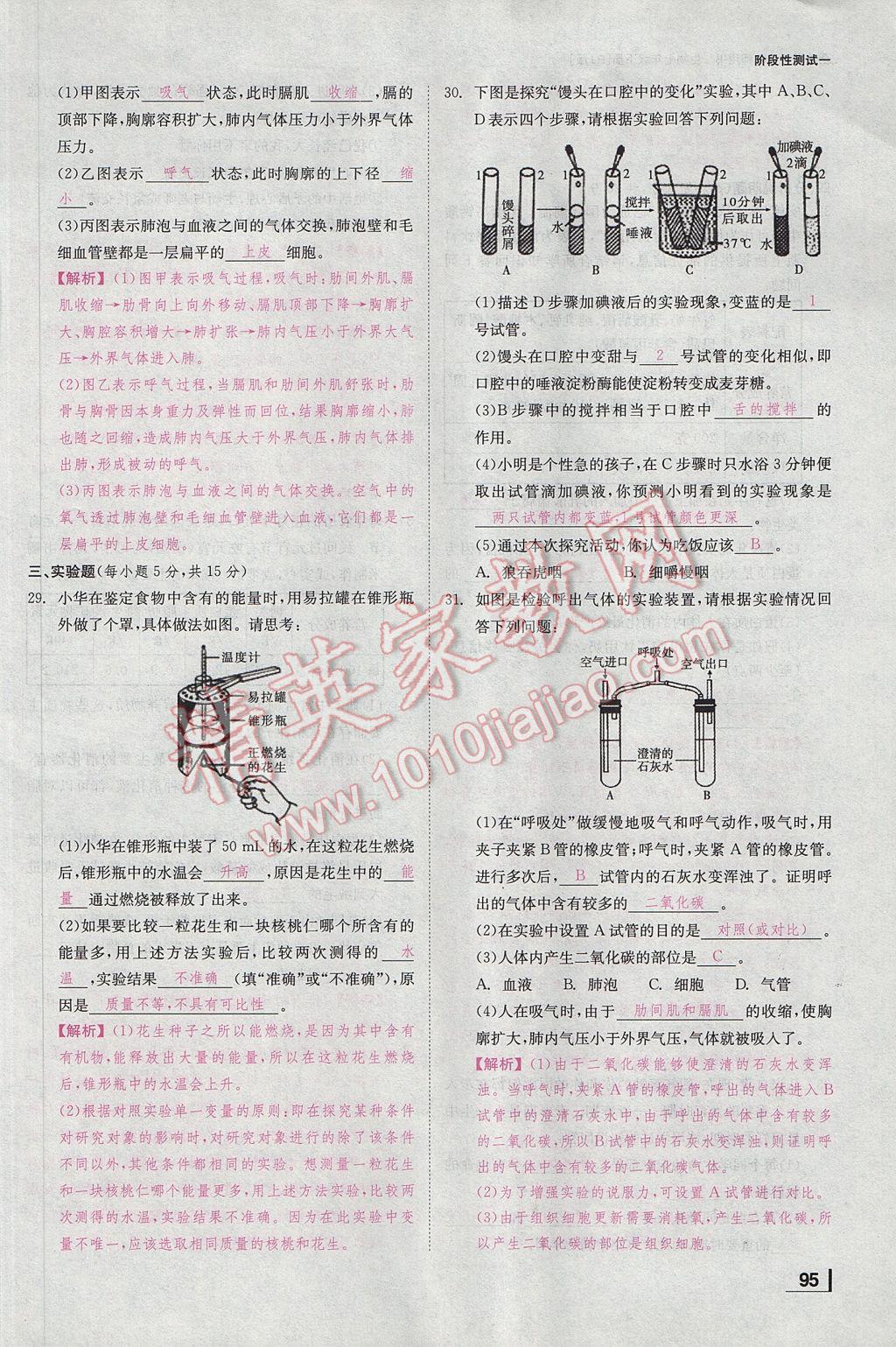 2017年全效學習七年級生物下冊人教版 測試卷第4頁