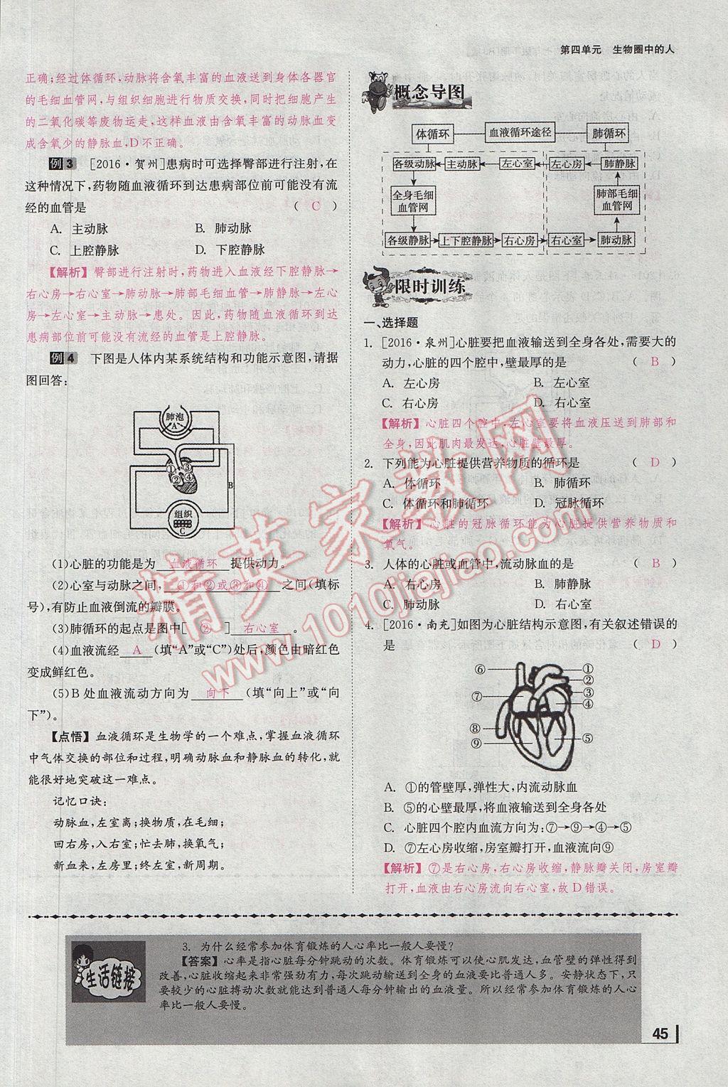 2017年全效學(xué)習(xí)七年級(jí)生物下冊(cè)人教版 第四章 人體內(nèi)物質(zhì)的運(yùn)算第110頁(yè)