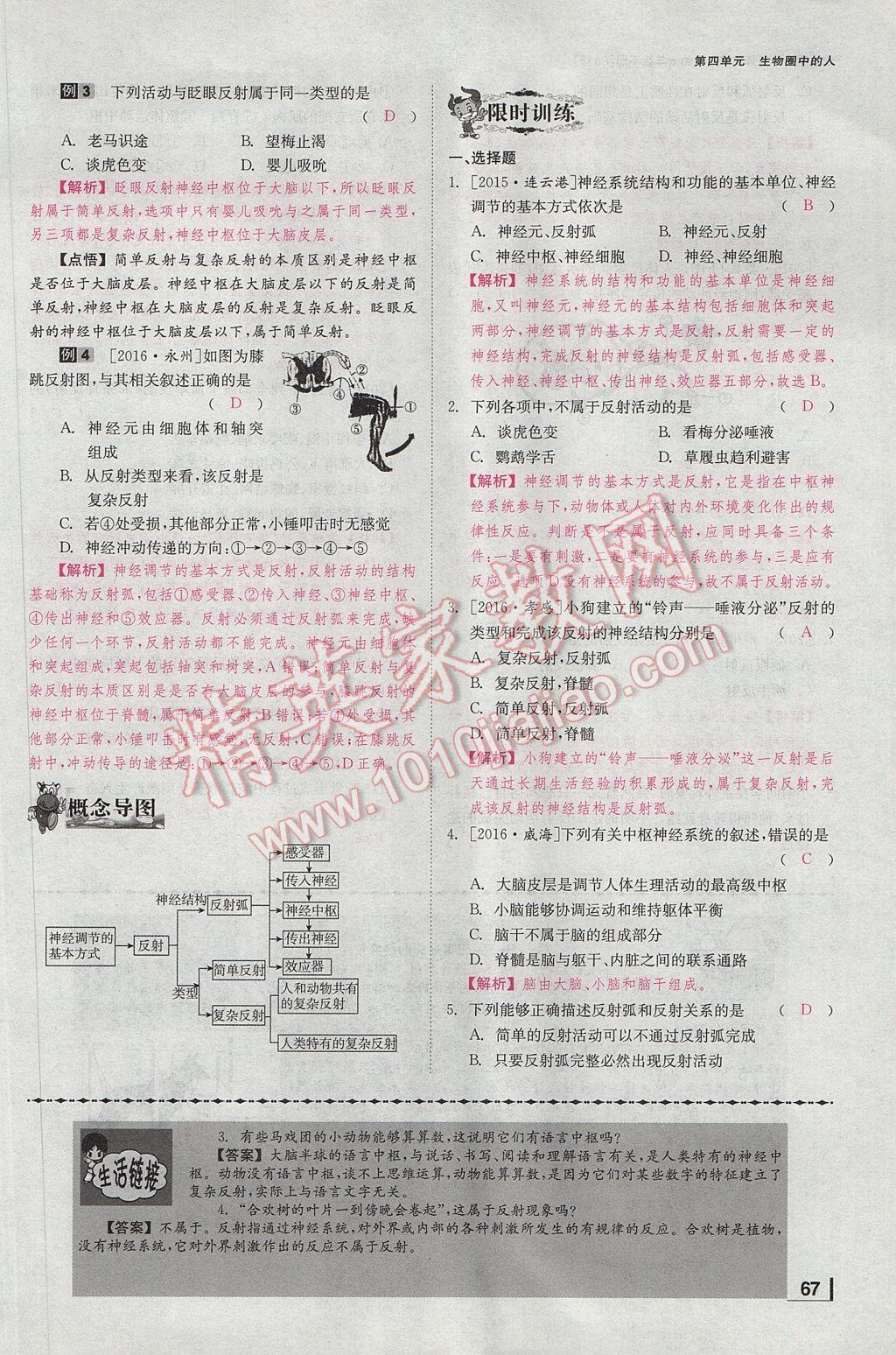 2017年全效學習七年級生物下冊人教版 第六章 人體生命活動的調節第94頁