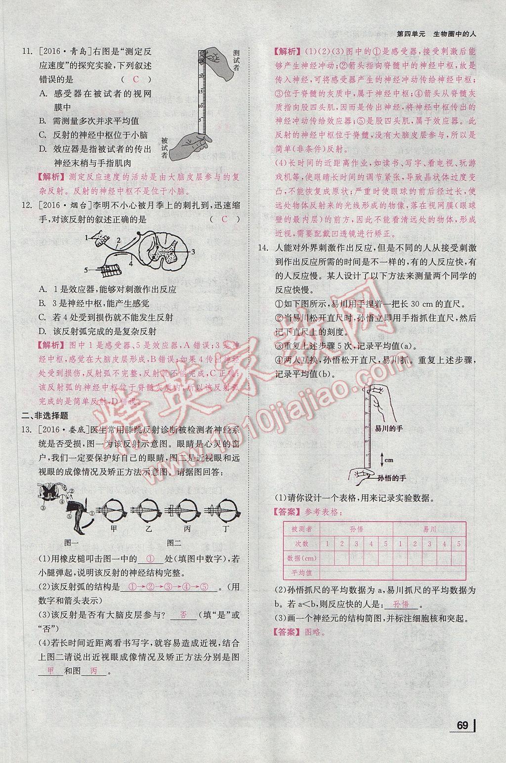 2017年全效學(xué)習(xí)七年級生物下冊人教版 第六章 人體生命活動的調(diào)節(jié)第96頁