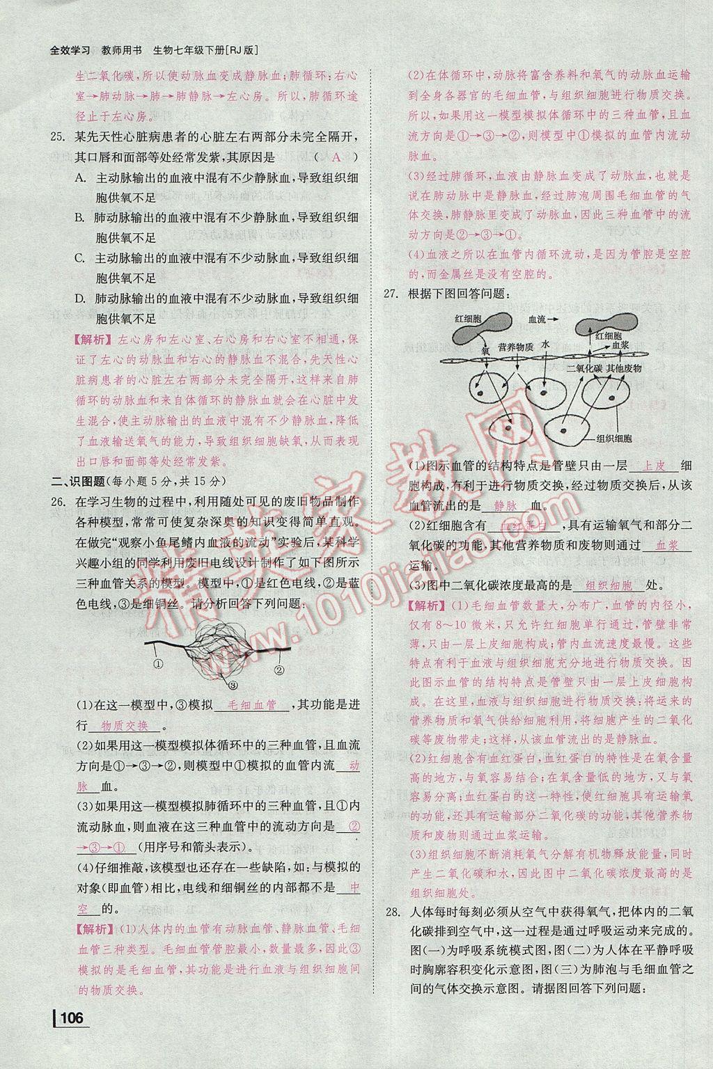 2017年全效學(xué)習(xí)七年級(jí)生物下冊人教版 測試卷第15頁