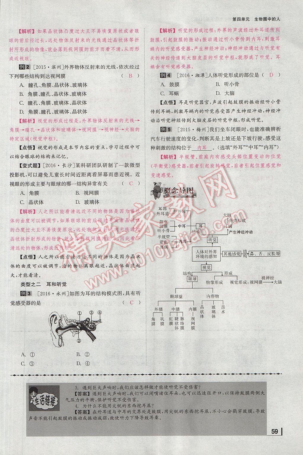 2017年全效學習七年級生物下冊人教版 第六章 人體生命活動的調節第86頁