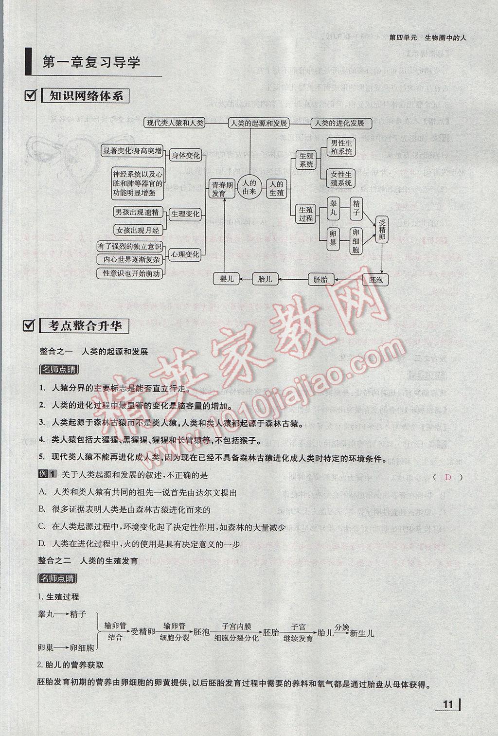 2017年全效學(xué)習(xí)七年級(jí)生物下冊(cè)人教版 第一章 人的由來第35頁(yè)