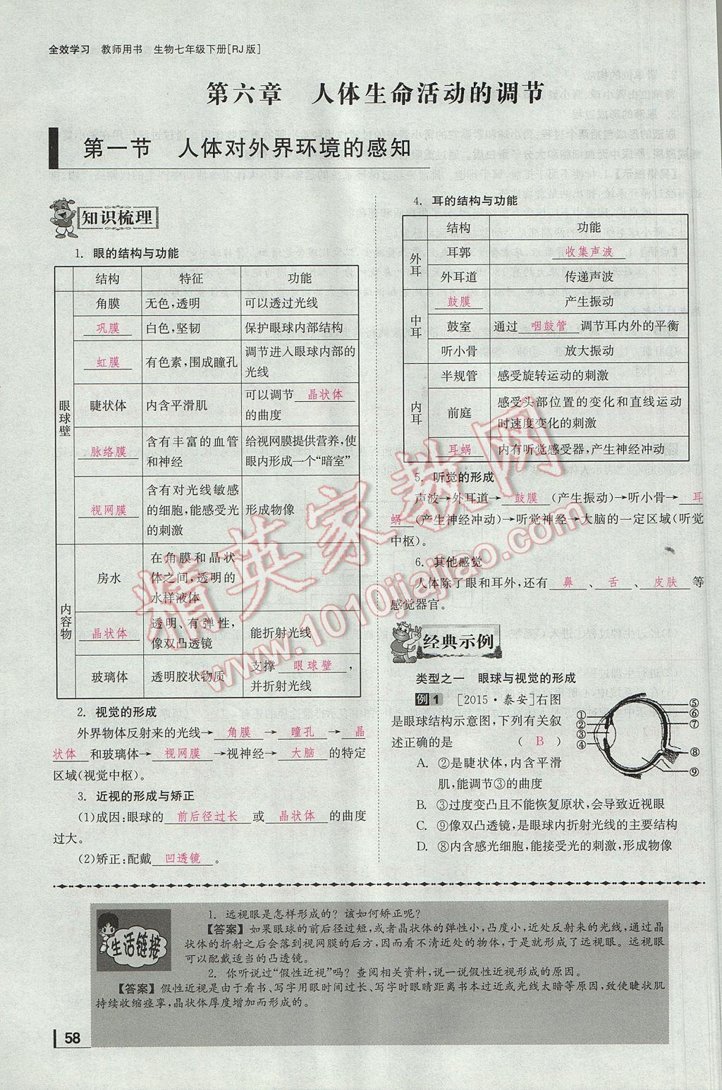 2017年全效學(xué)習(xí)七年級生物下冊人教版 第六章 人體生命活動(dòng)的調(diào)節(jié)第85頁