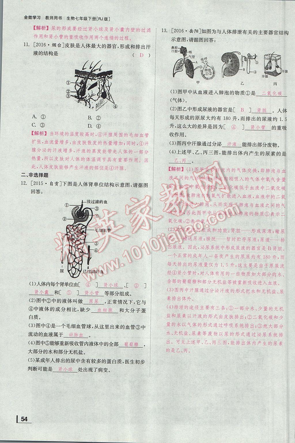 2017年全效學(xué)習(xí)七年級生物下冊人教版 第五章 人體內(nèi)廢物的排出第81頁