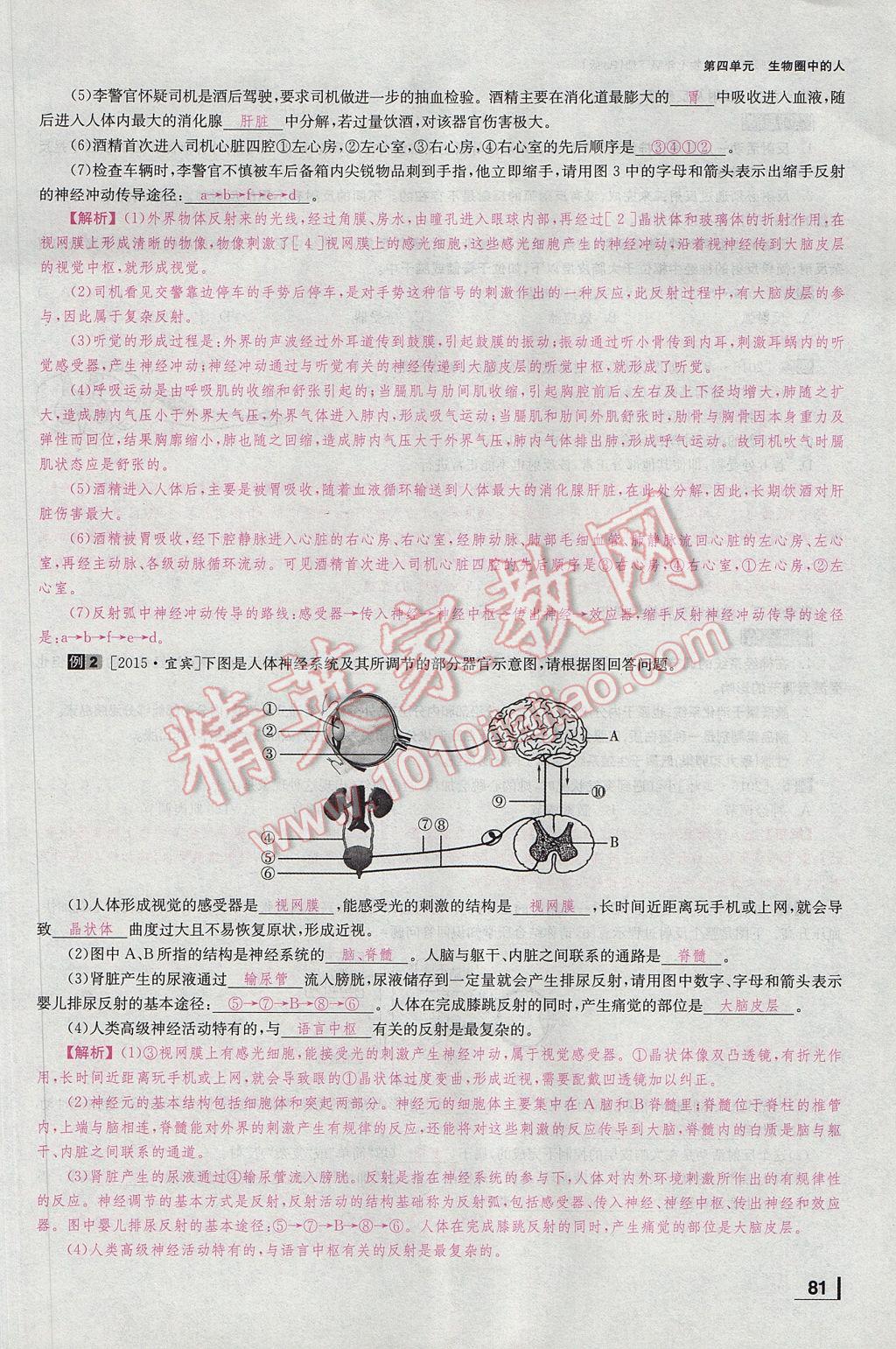 2017年全效學(xué)習(xí)七年級生物下冊人教版 第七章 人類活動對生物圈的影響第43頁