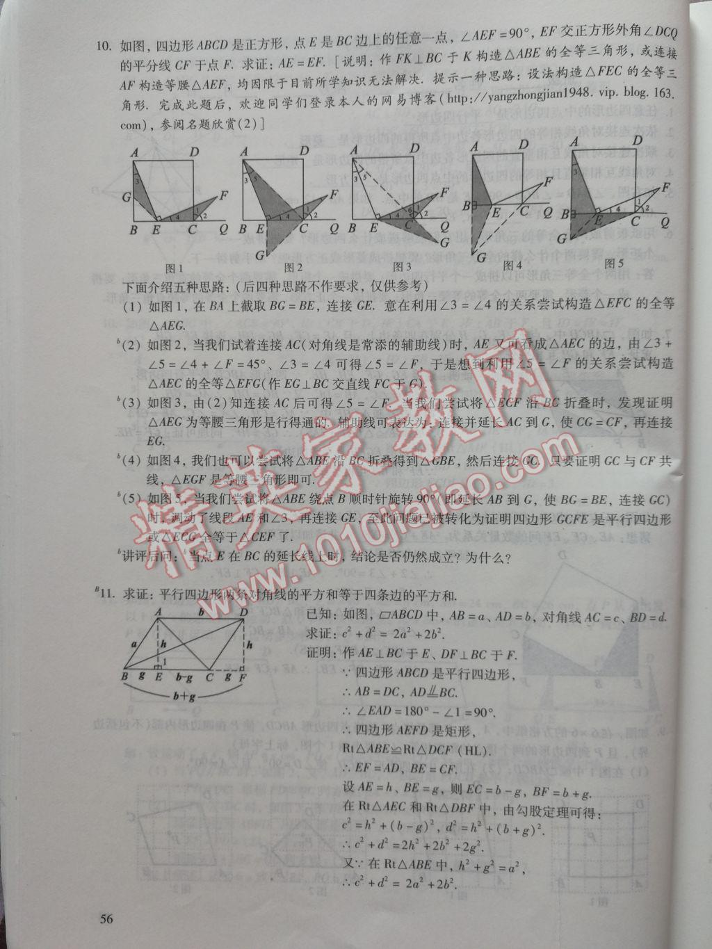 2017年數(shù)學(xué)活頁練習(xí)八年級下冊福建少年兒童出版社 參考答案第56頁