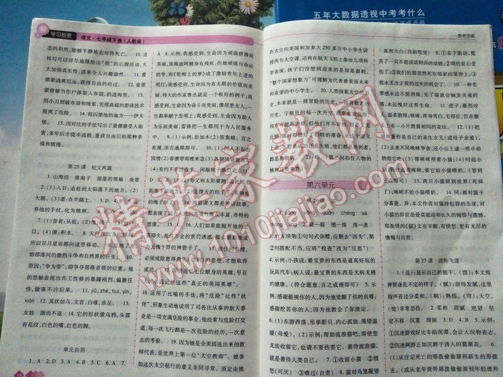 2017年学习指要七年级语文下册人教版 参考答案第6页