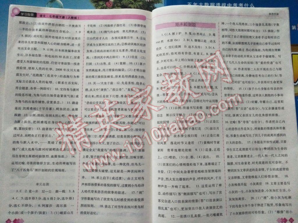 2017年学习指要七年级语文下册人教版 参考答案第7页