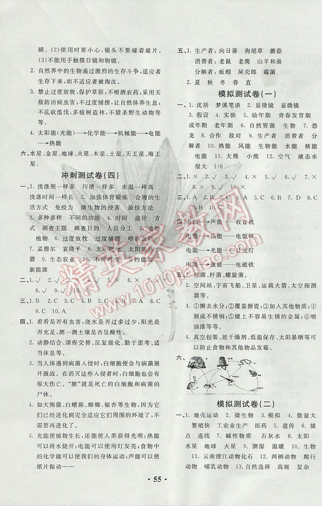 2017年小學(xué)畢業(yè)總復(fù)習(xí)綜合測(cè)試卷科學(xué)蘇教版 參考答案第3頁