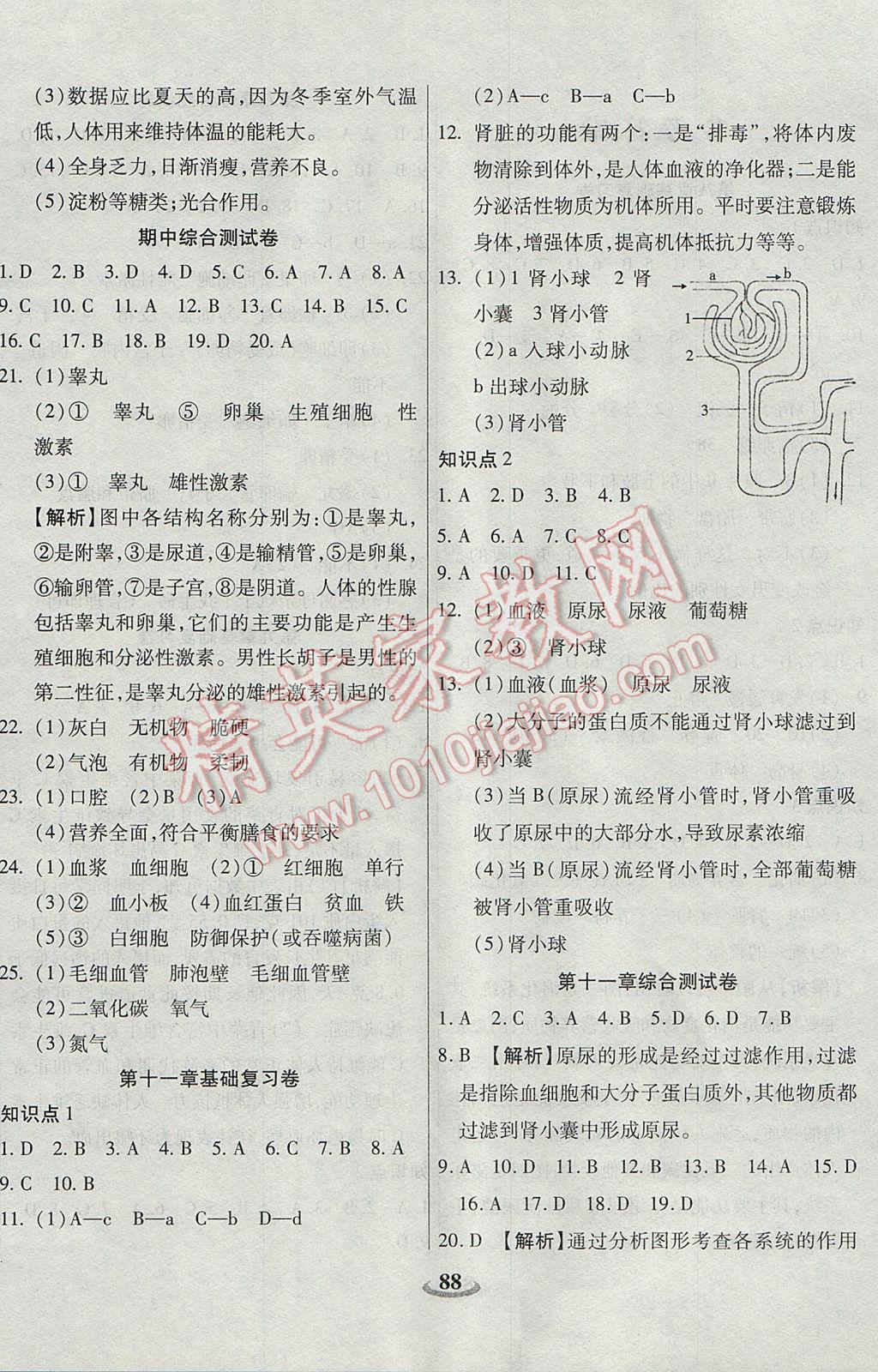 2017年暢響雙優(yōu)卷七年級生物下冊蘇教版 參考答案第4頁