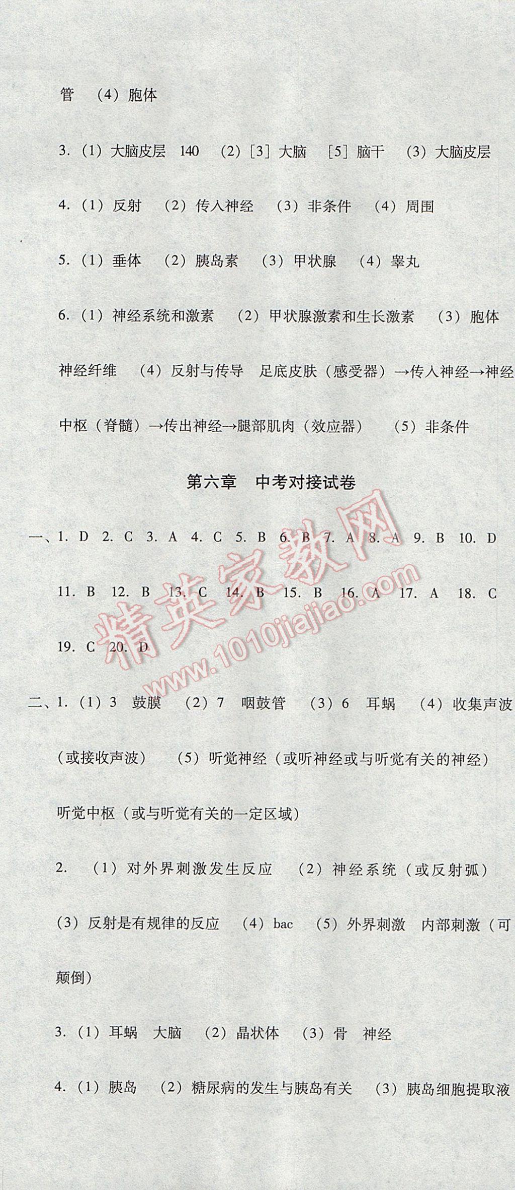 2017年單元加期末復(fù)習(xí)與測試七年級生物下冊人教版 參考答案第13頁