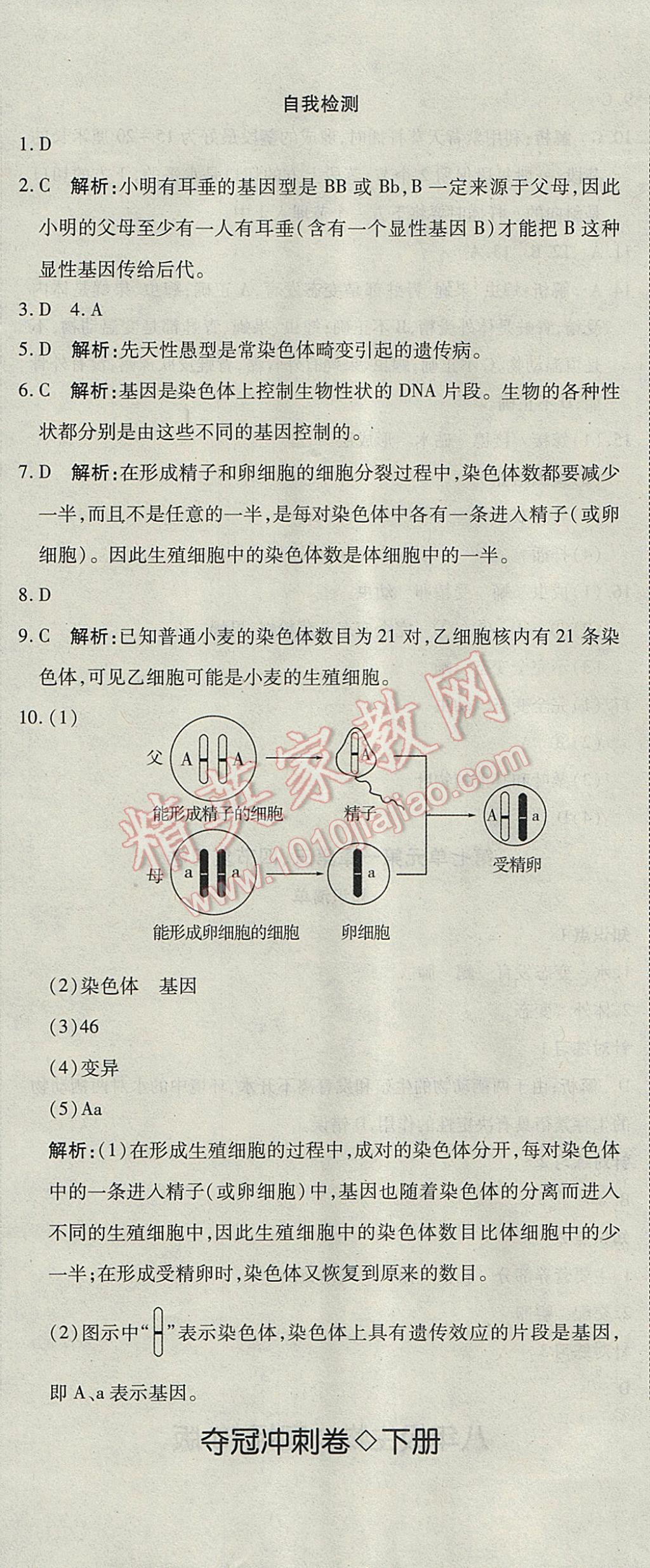 2017年奪冠沖刺卷八年級(jí)生物下冊(cè)人教版 參考答案第5頁(yè)