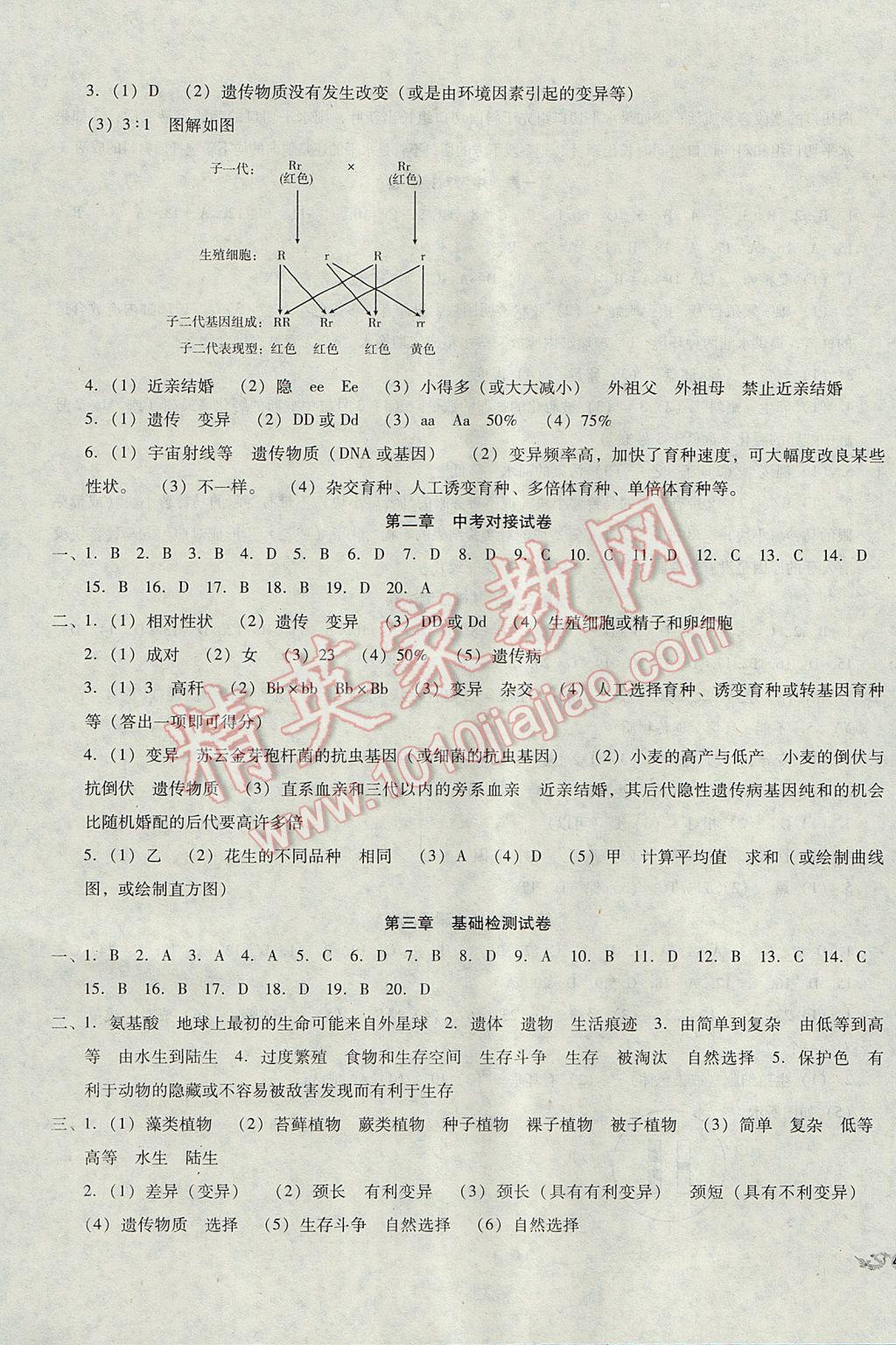 2017年单元加期末复习与测试八年级生物下册人教版 参考答案第3页