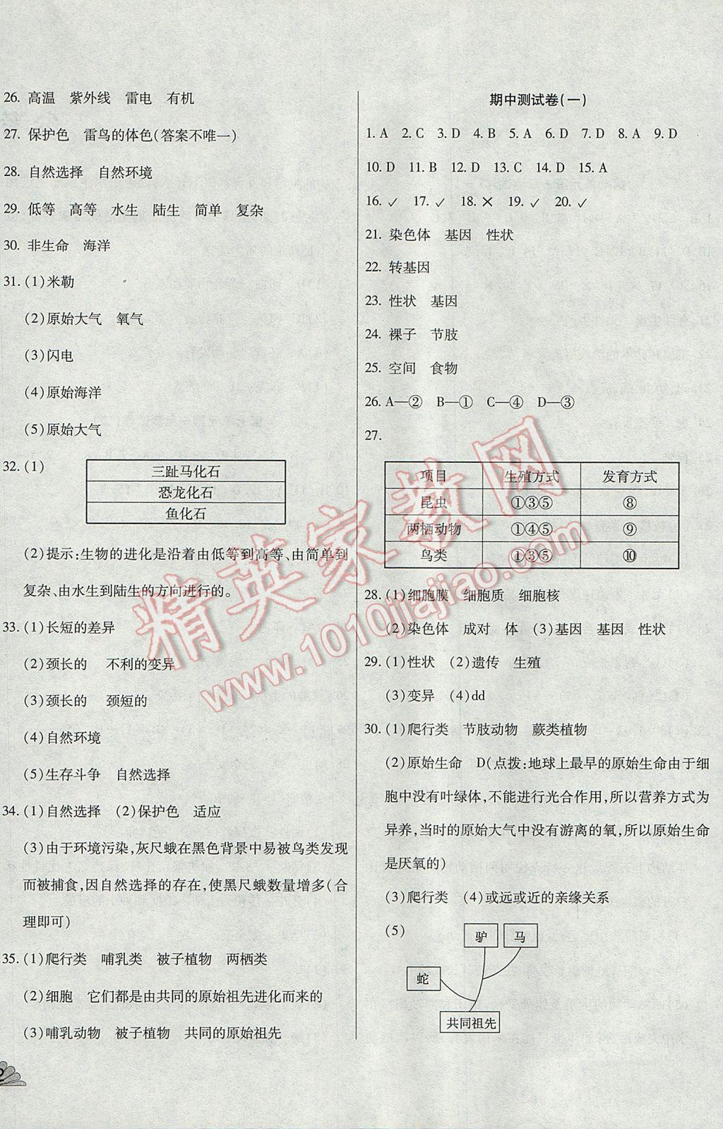 2017年千里馬單元測(cè)試卷八年級(jí)生物下冊(cè)人教版 參考答案第4頁