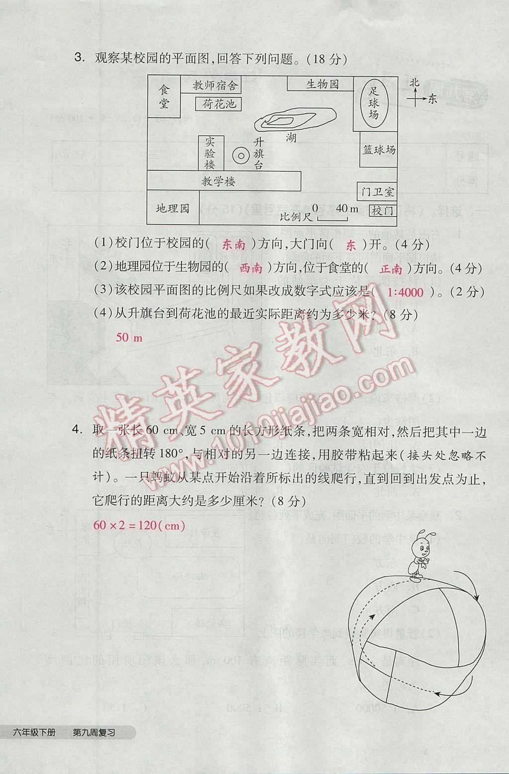 2017年全品小复习六年级数学下册北师大版 参考答案第56页