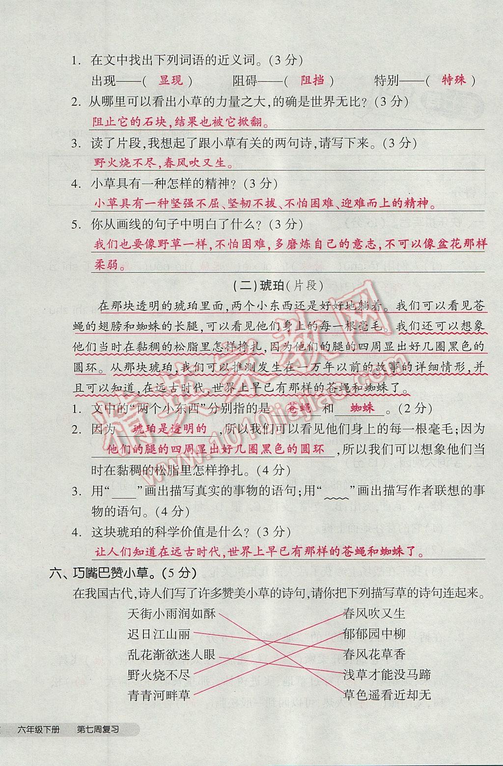 2017年全品小复习六年级语文下册北师大版 参考答案第40页