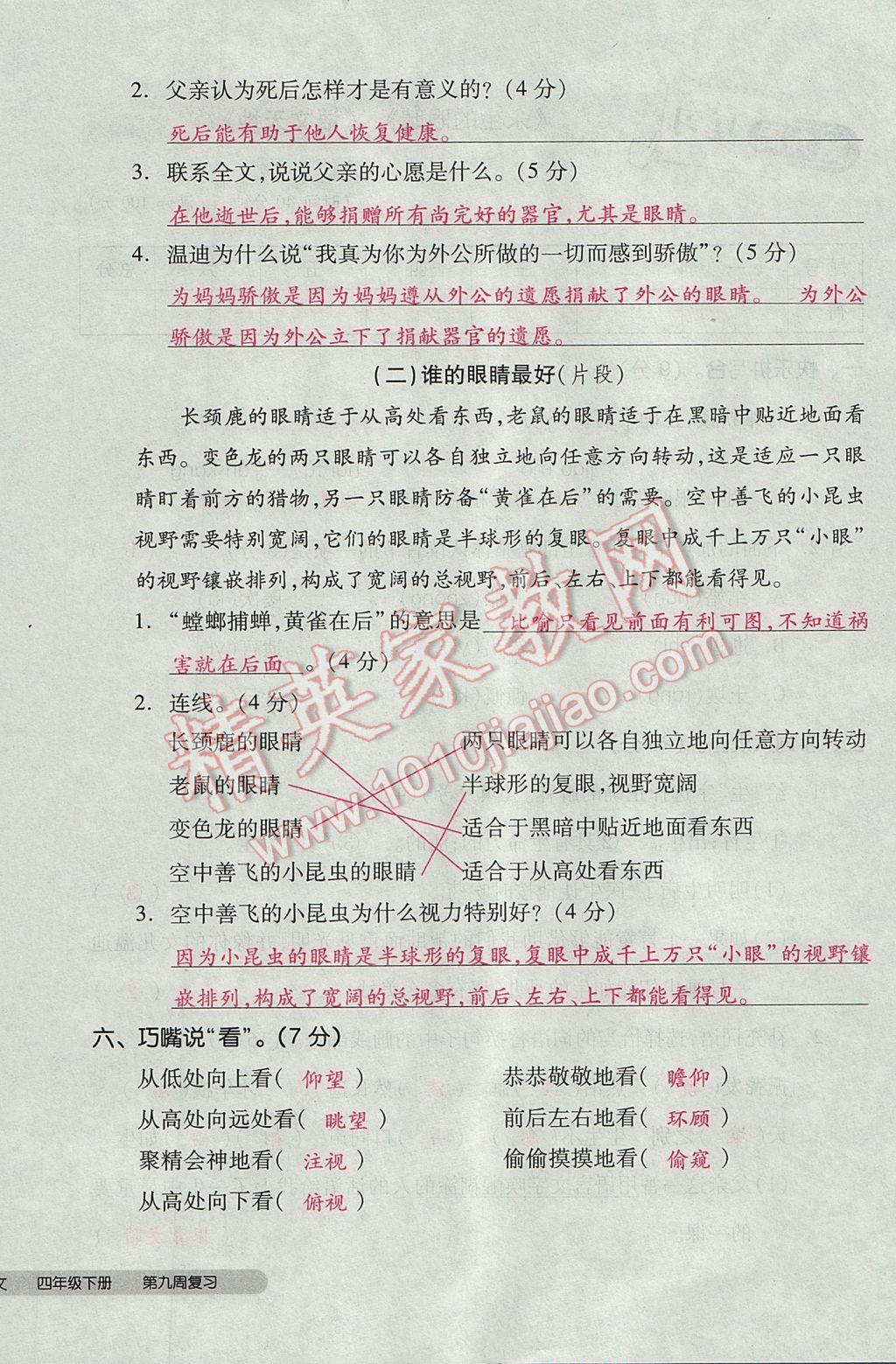 2017年全品小复习四年级语文下册北师大版 参考答案第44页