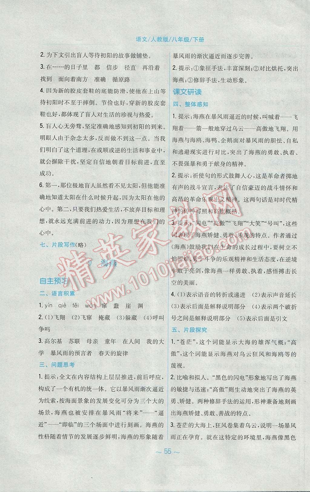 2017年新编基础训练八年级语文下册人教版 参考答案第11页