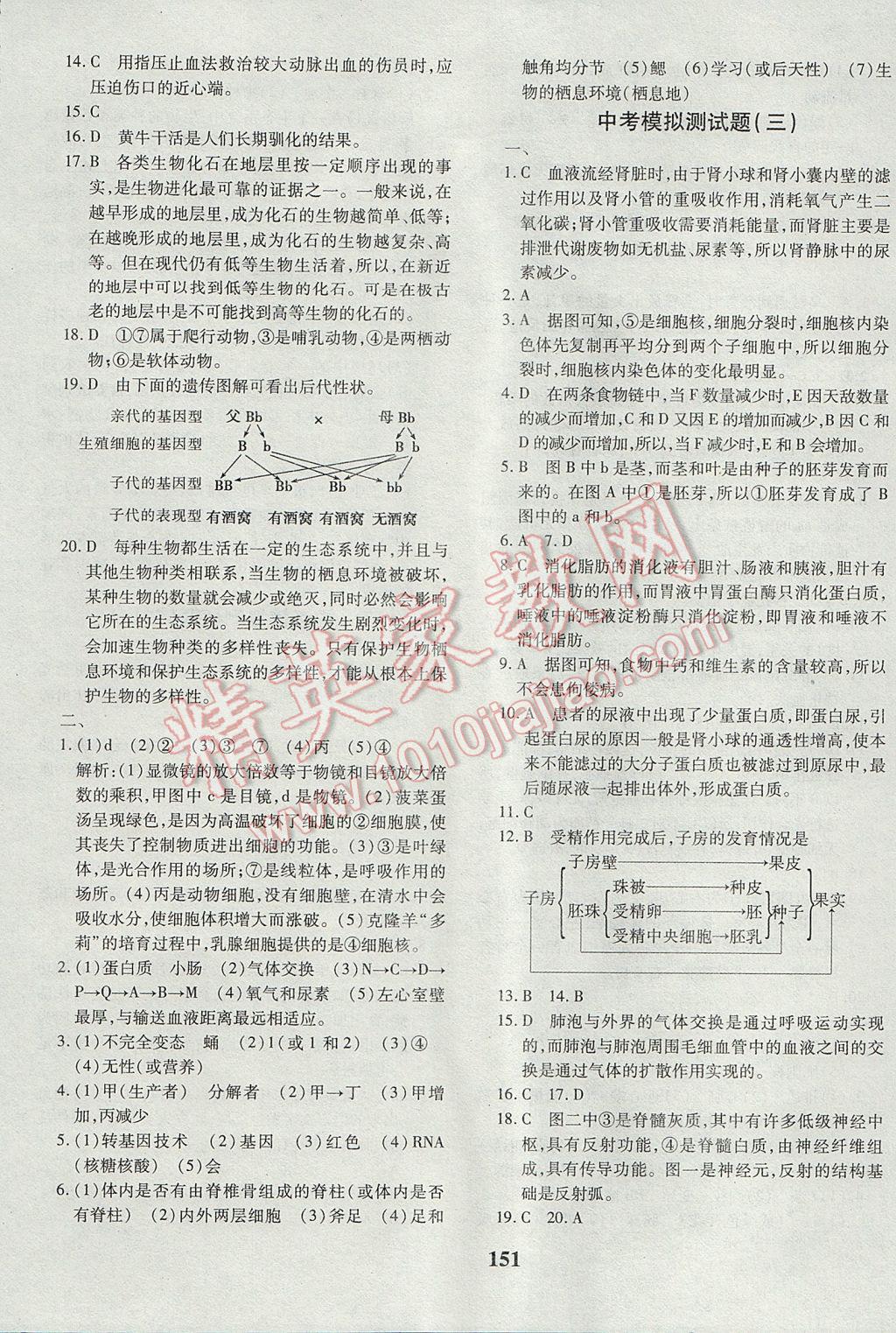 2017年黃岡360度定制密卷八年級生物下冊濟(jì)南版 參考答案第23頁