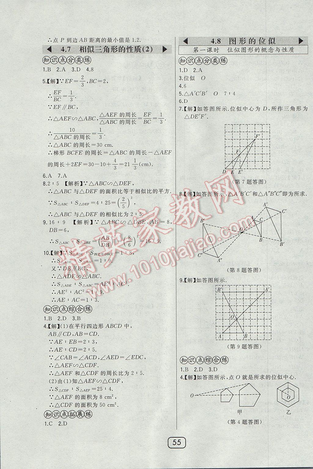 2017年北大绿卡九年级数学上册北师大版 参考答案第41页