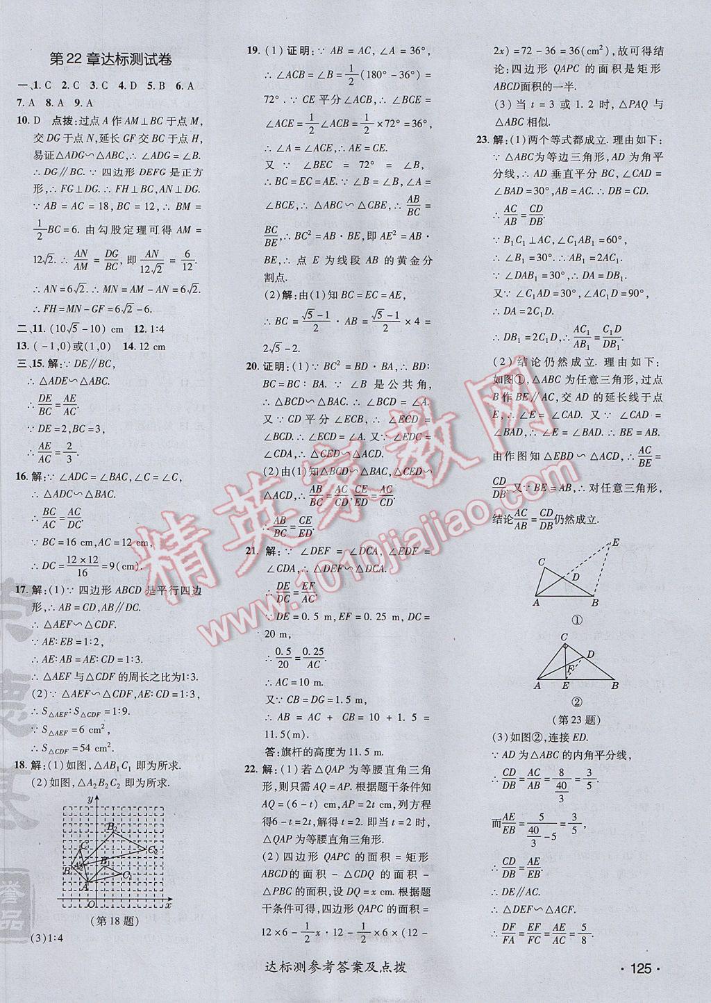 2017年点拨训练九年级数学上册沪科版 参考答案第2页