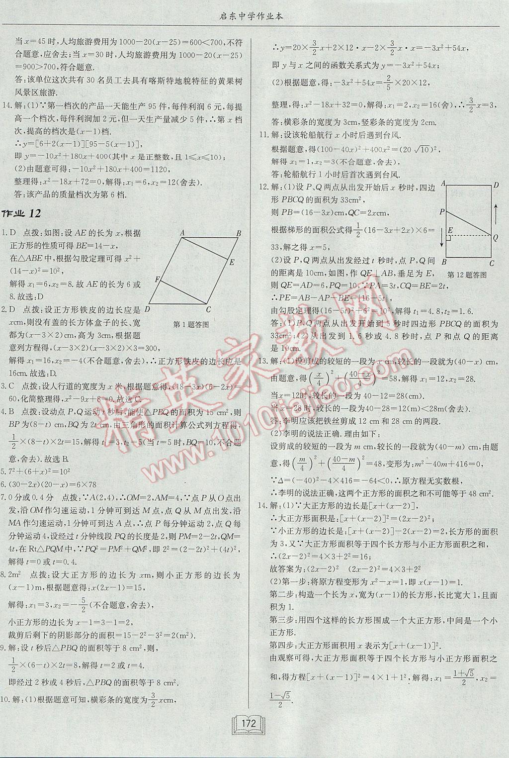 2017年啟東中學作業(yè)本九年級數(shù)學上冊江蘇版 參考答案第8頁