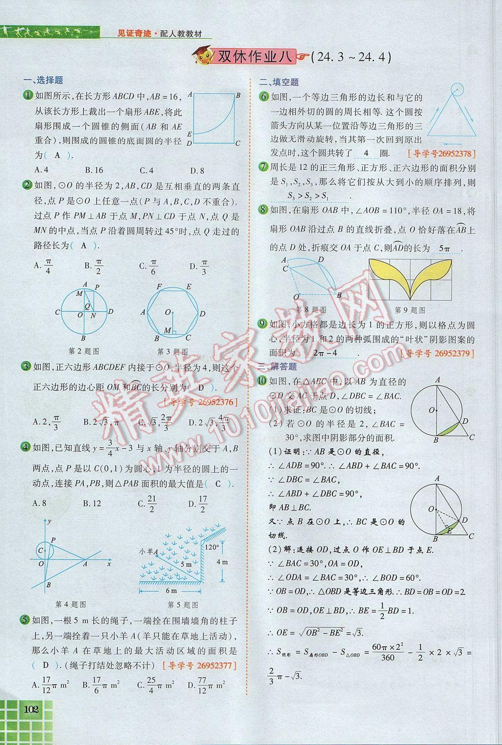 2017年見證奇跡英才學(xué)業(yè)設(shè)計與反饋九年級數(shù)學(xué)上冊人教版 第二十四章 圓第146頁