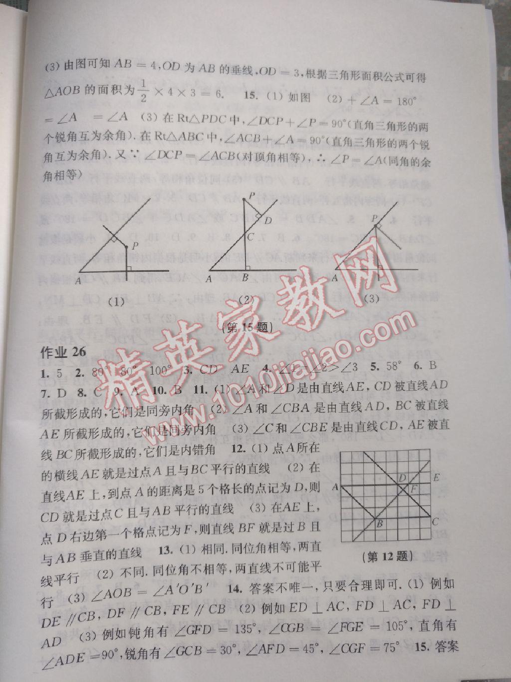 2017年暑假作业七年级数学沪科版上海科学技术出版社 参考答案第4页