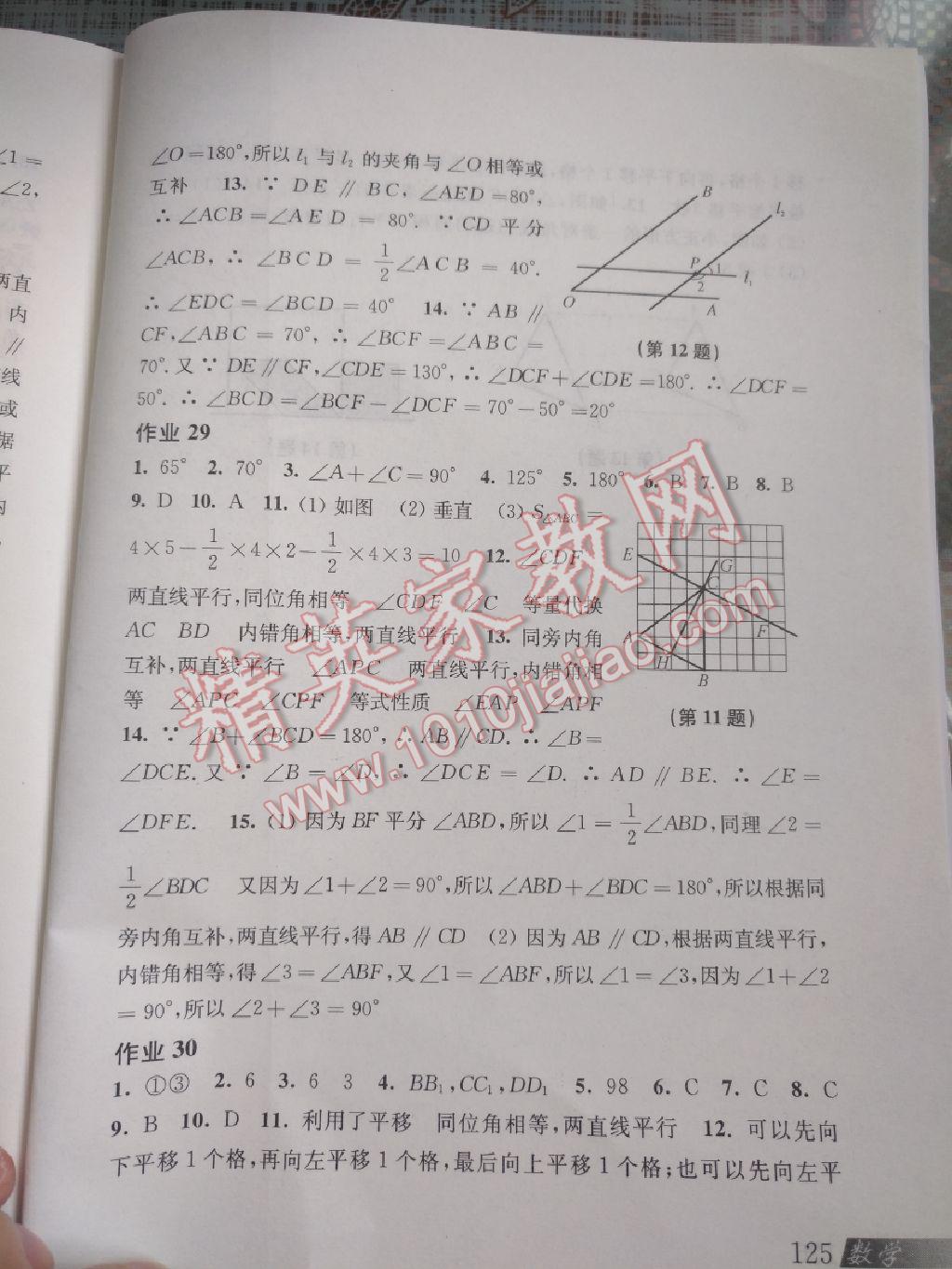 2017年暑假作业七年级数学沪科版上海科学技术出版社 参考答案第2页