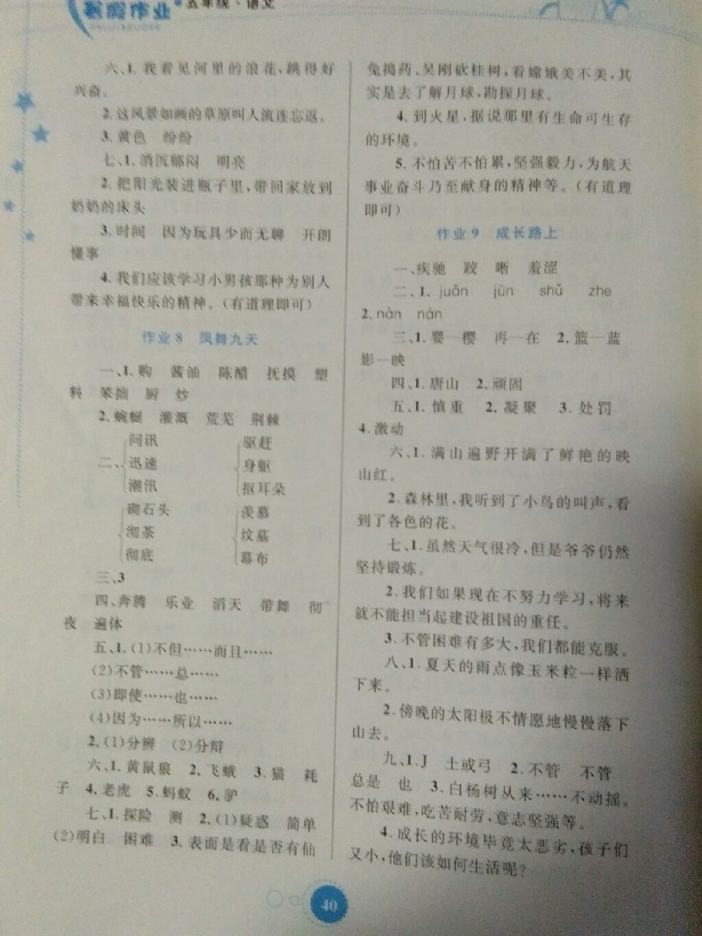 2017年暑假作业五年级语文内蒙古教育出版社 参考答案第13页