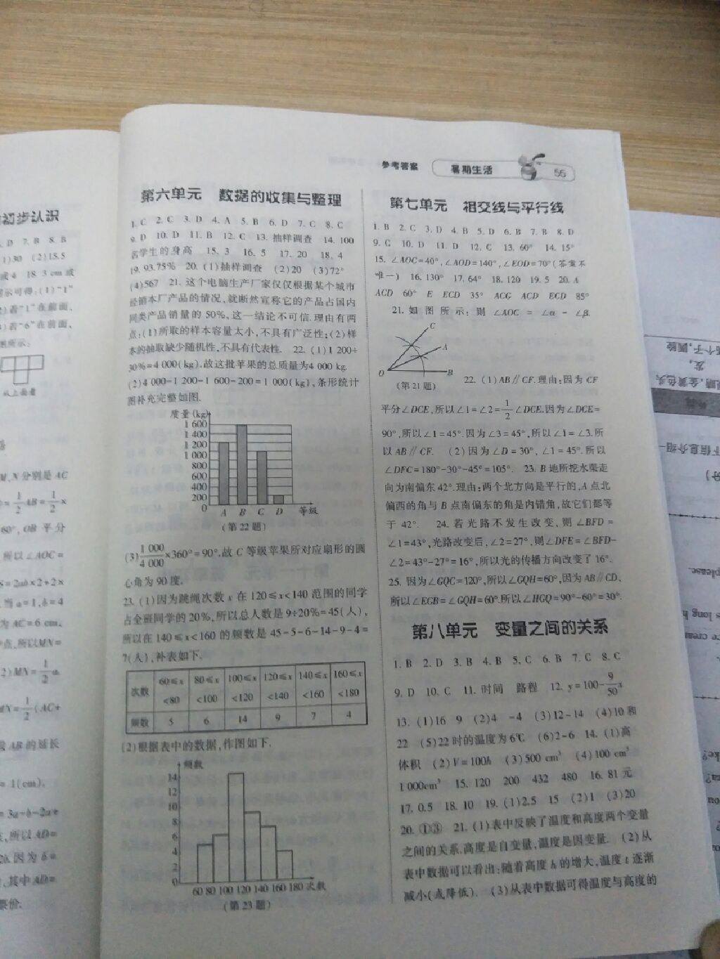 2017年暑期生活七年级数学北师大版甘肃少年儿童出版社 参考答案第3页