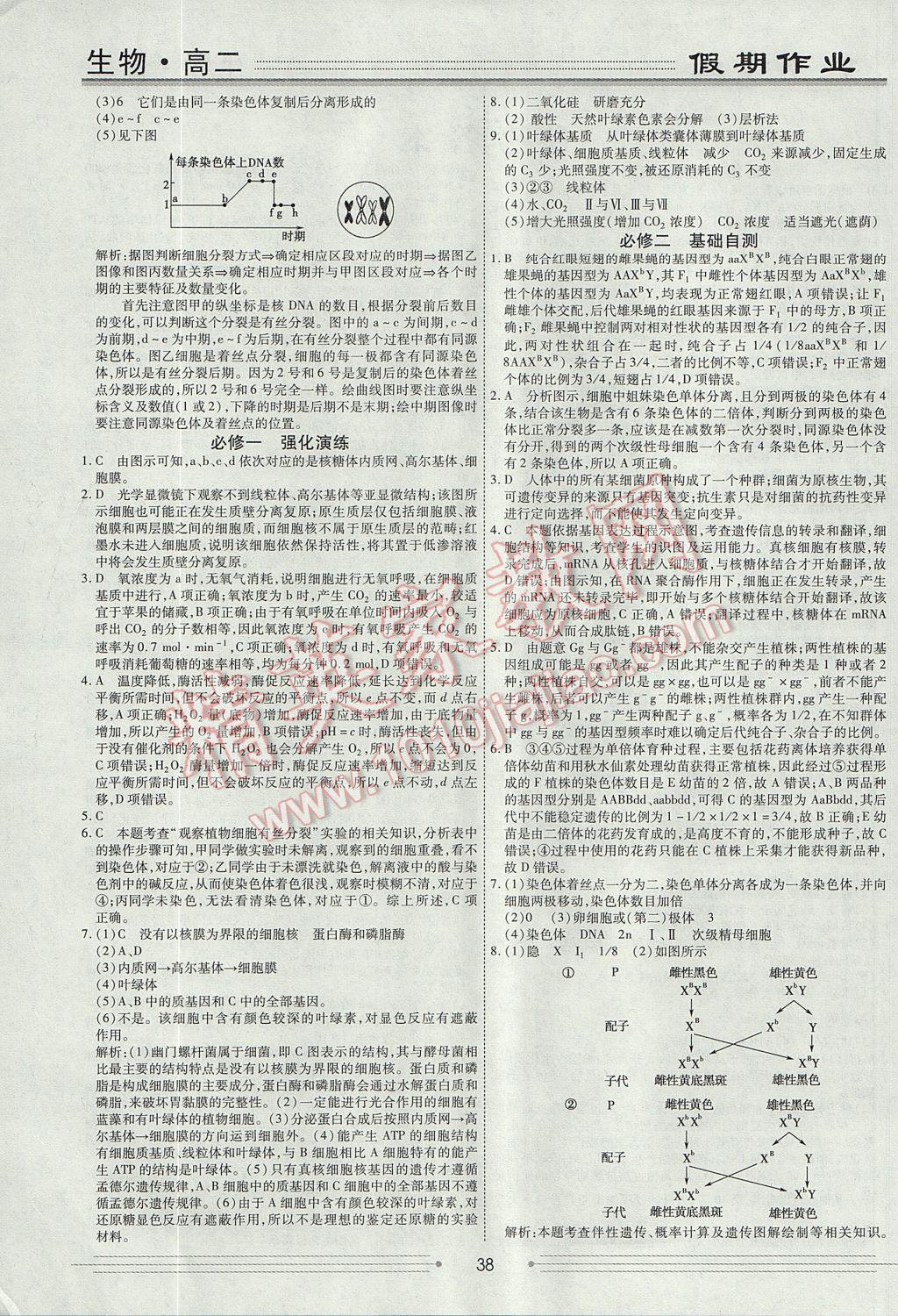 2017年赢在高考假期作业暑假学段衔接提升方案高二生物 参考答案第2页