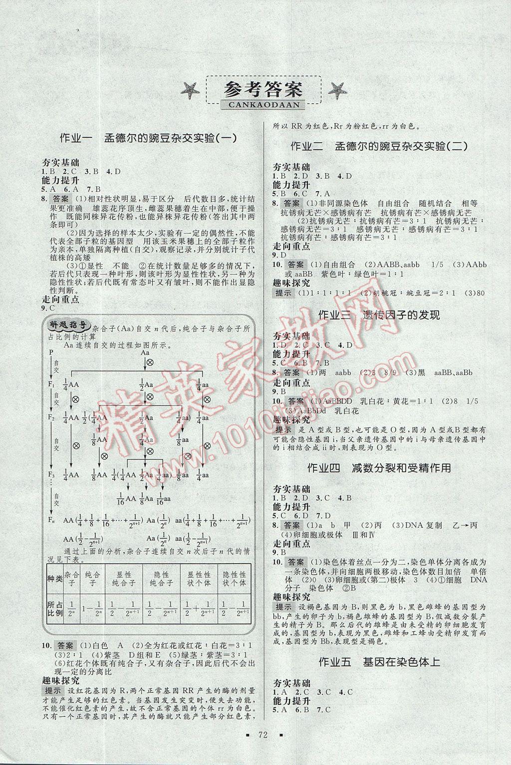 2017年志鴻優(yōu)化系列叢書暑假作業(yè)高一生物必修2 參考答案第1頁