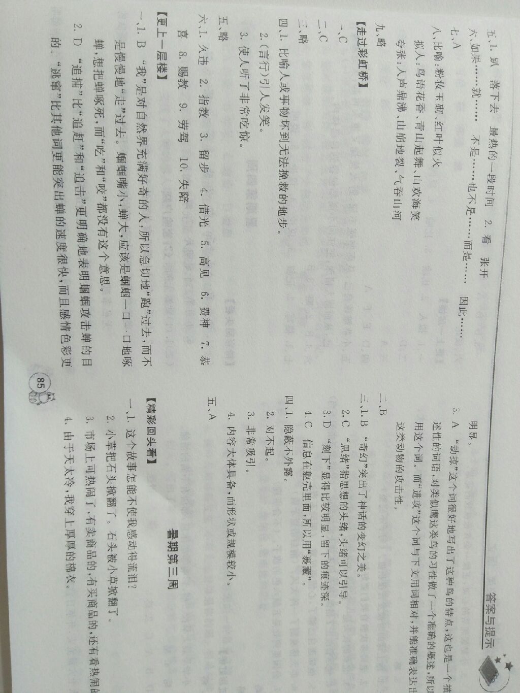 2017小學(xué)畢業(yè)生暑假必讀語(yǔ)文 參考答案第3頁(yè)