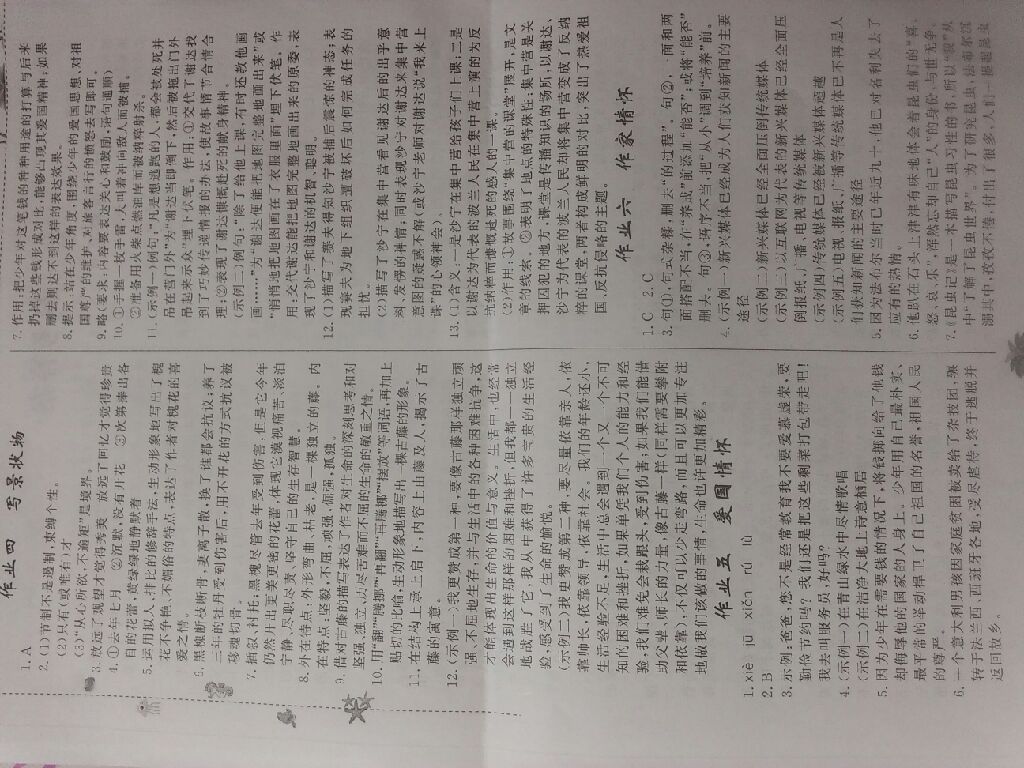 2017暑假生活七年级语文北师大版 参考答案第2页