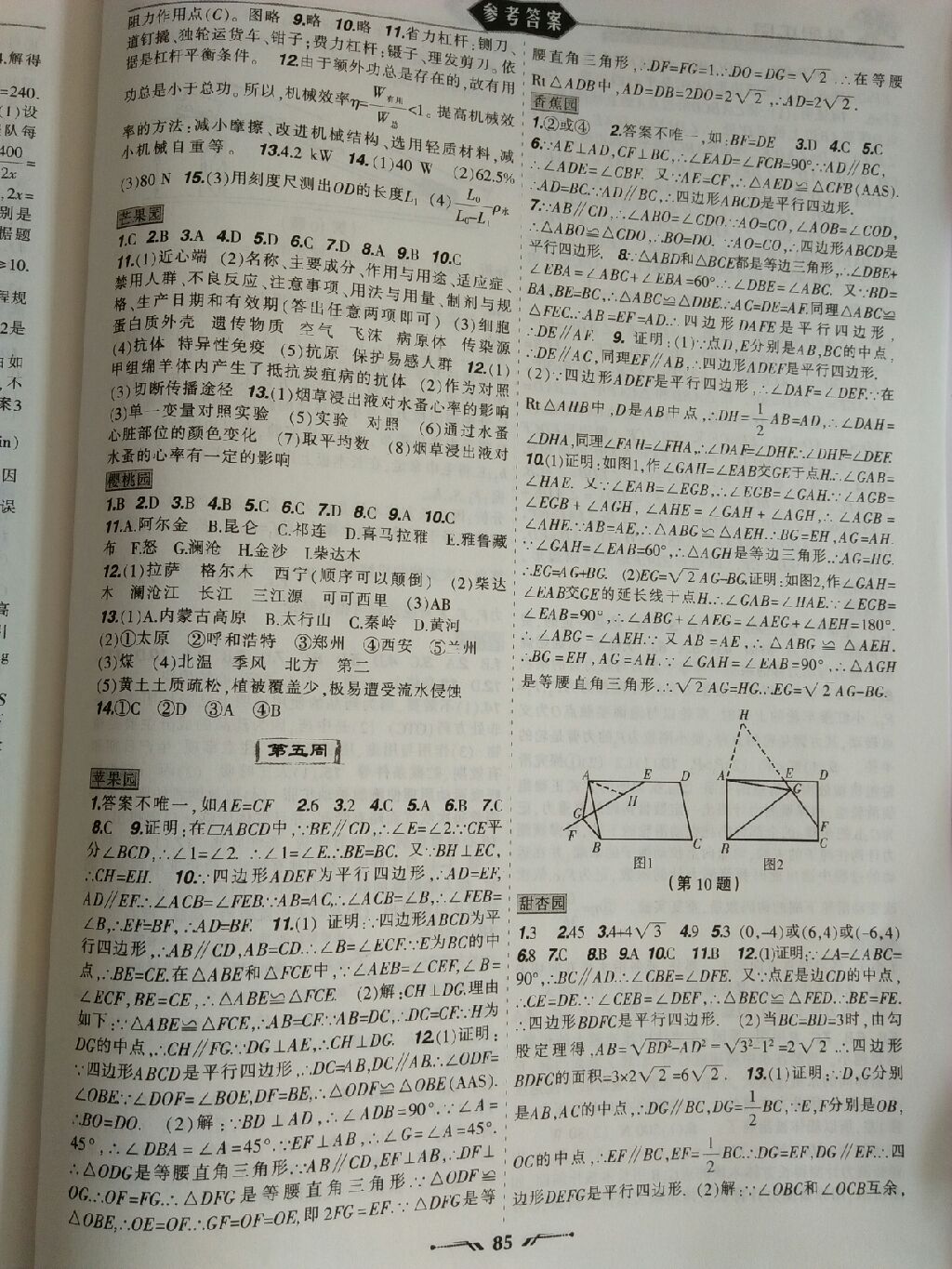 2017暑假樂園八年級數(shù)學地理生物理科版JZ 參考答案第5頁