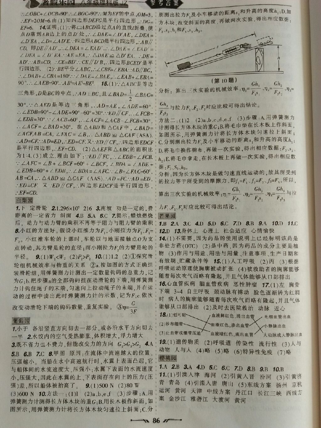 2017暑假樂園八年級數學地理生物理科版JZ 參考答案第6頁