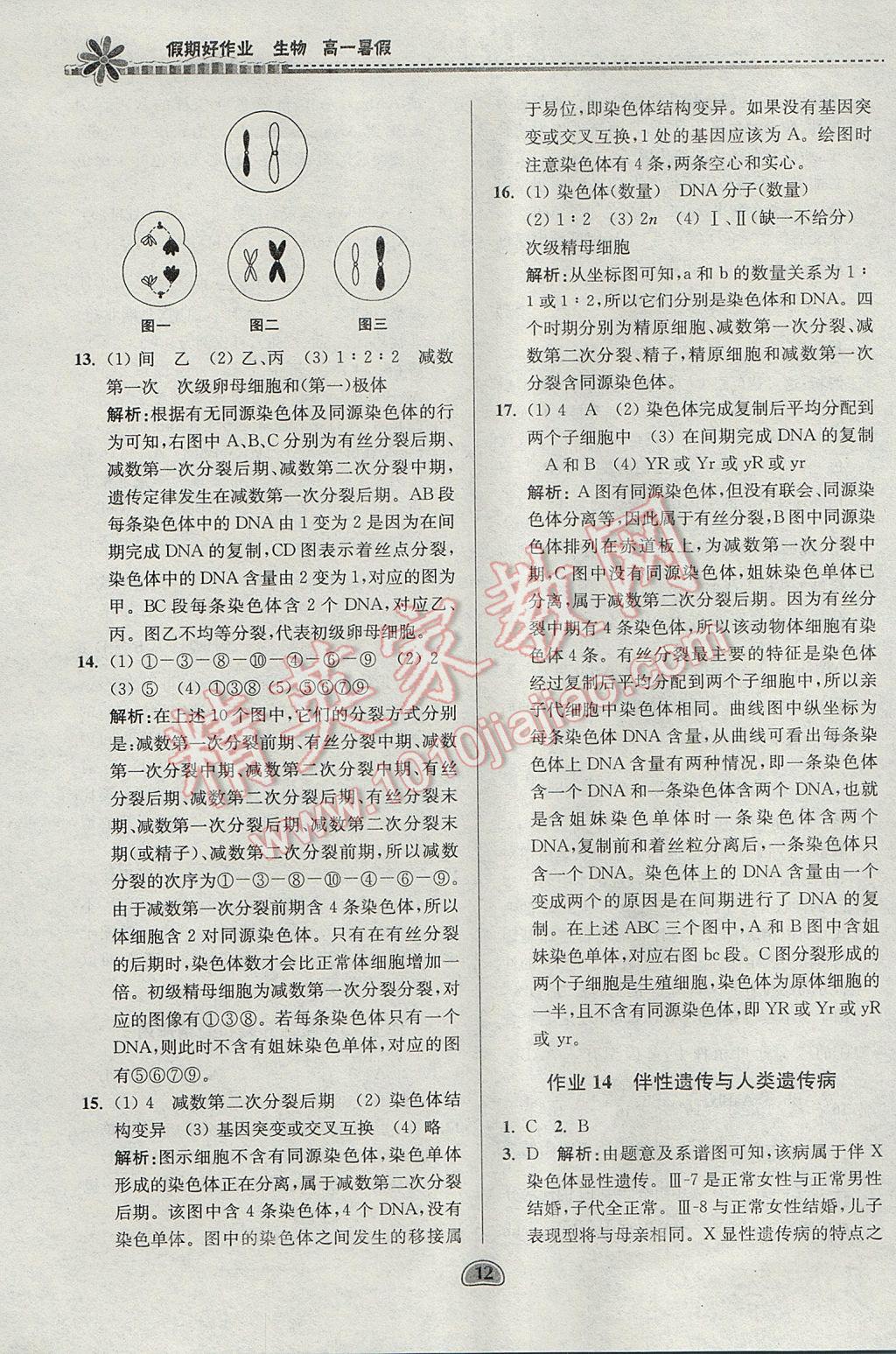 2017年假期好作业暑假高一生物 参考答案第12页