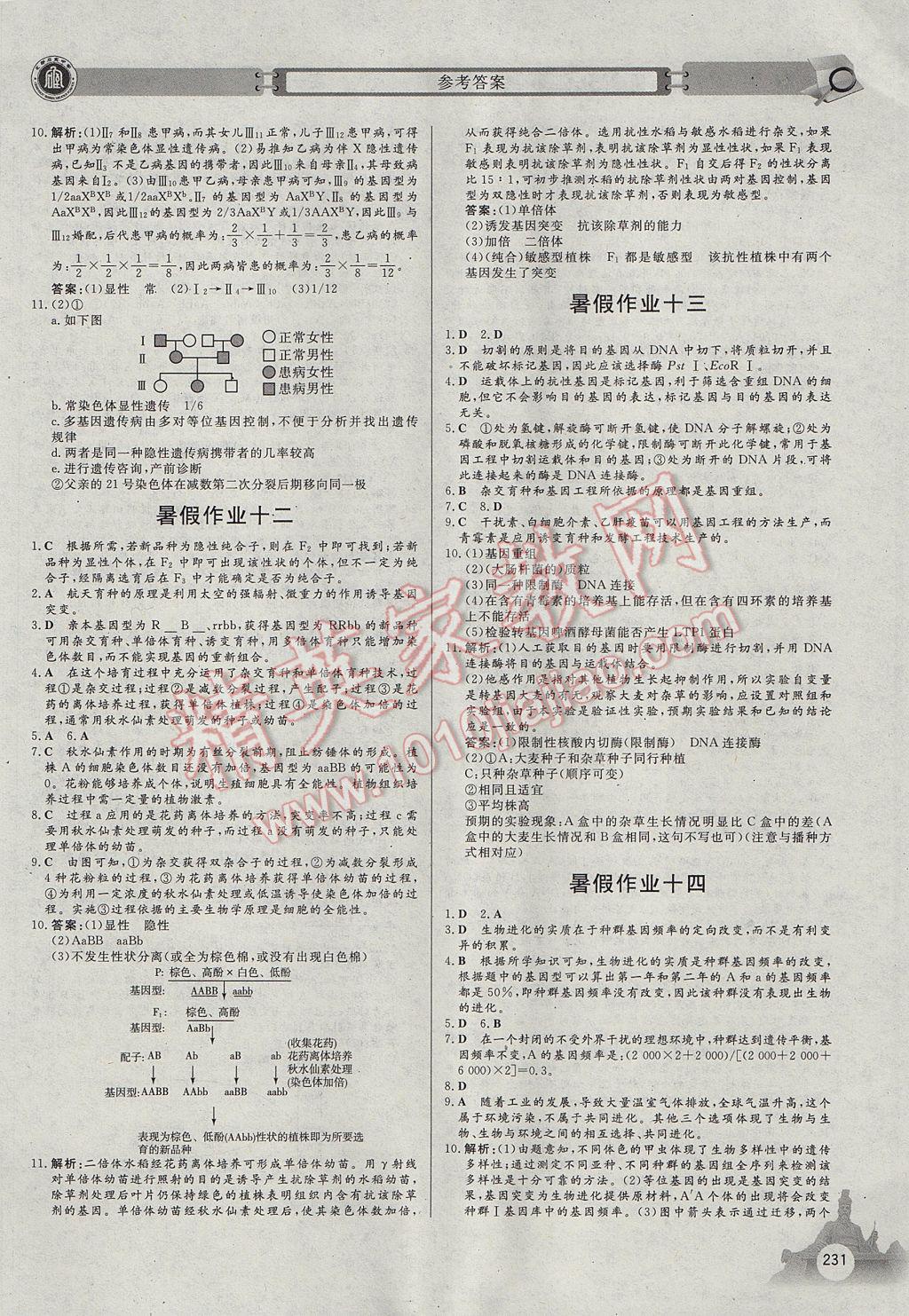 2017年石室金匮暑假作业高中一年级理科合订本 参考答案第35页