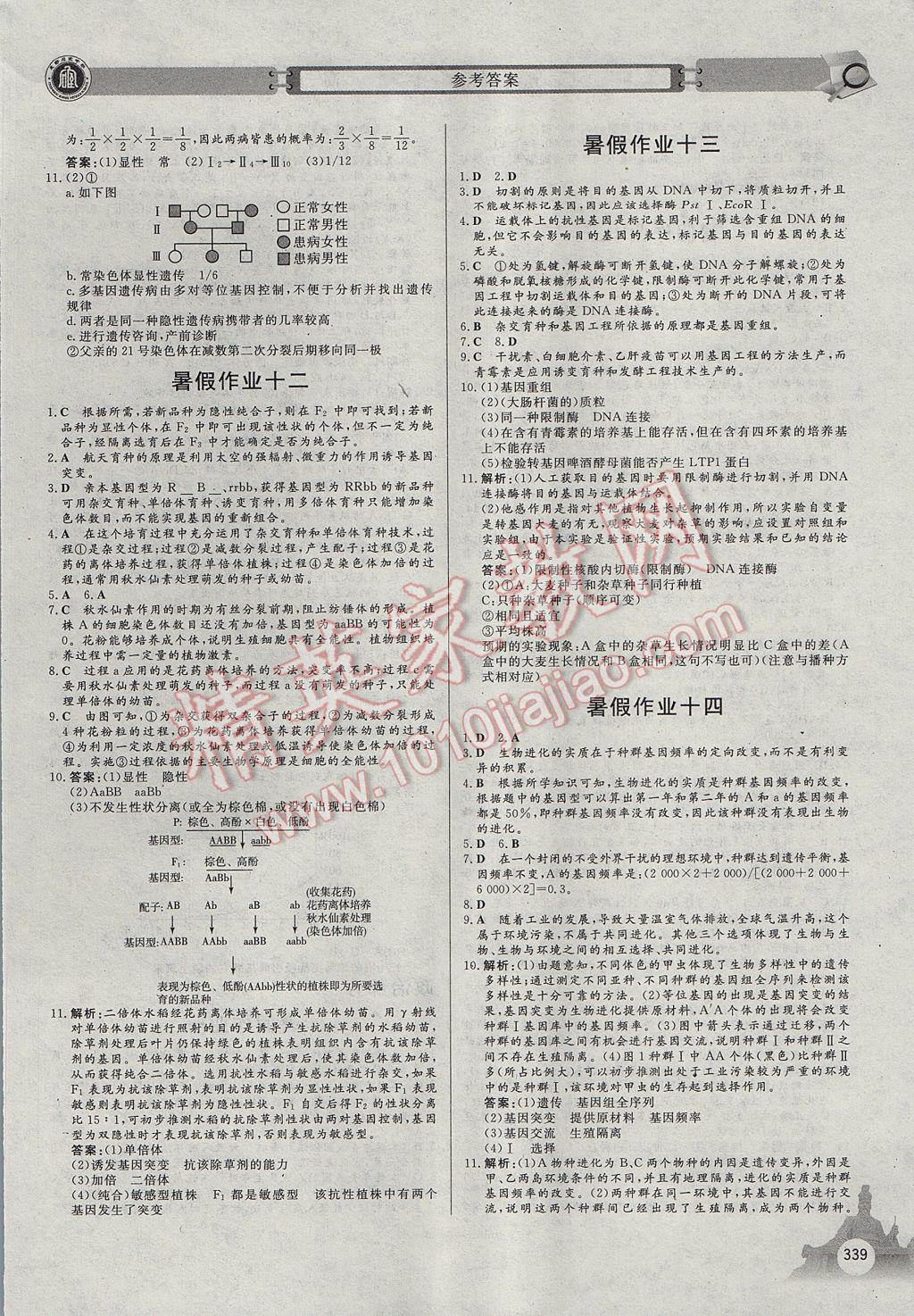 2017年石室金匱暑假作業(yè)高中一年級全科合訂本 參考答案第35頁