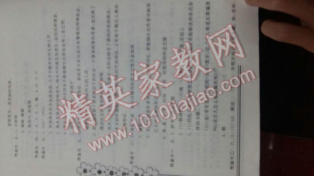 2017年新暑假生活八年級(jí)語文開明出版社 參考答案第2頁