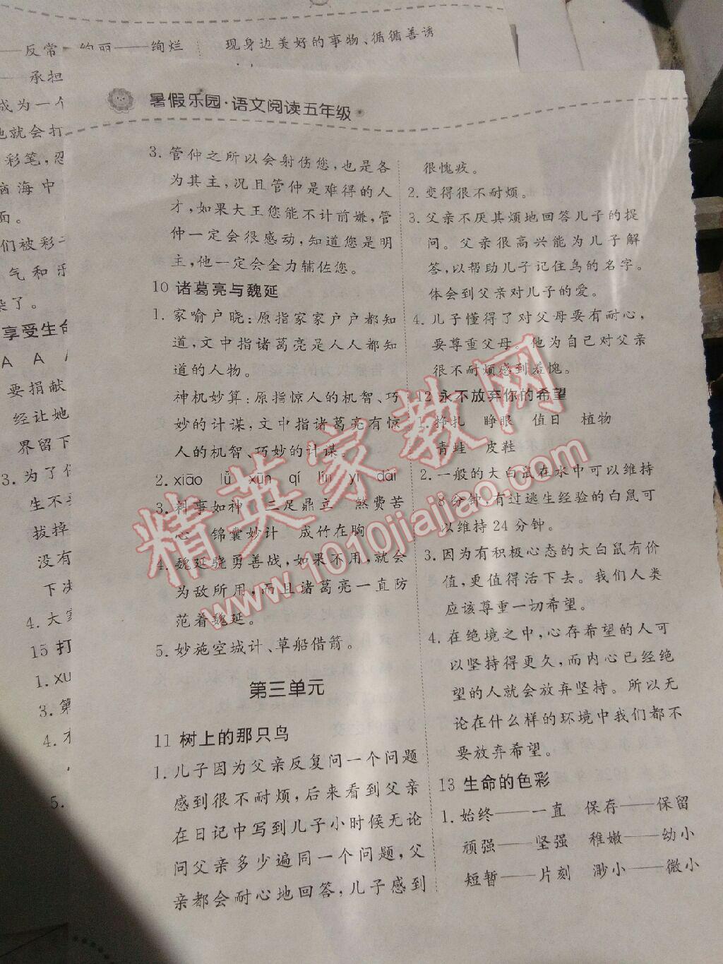 2017年暑假乐园五年级语文阅读辽宁师范大学出版社 参考答案第4页