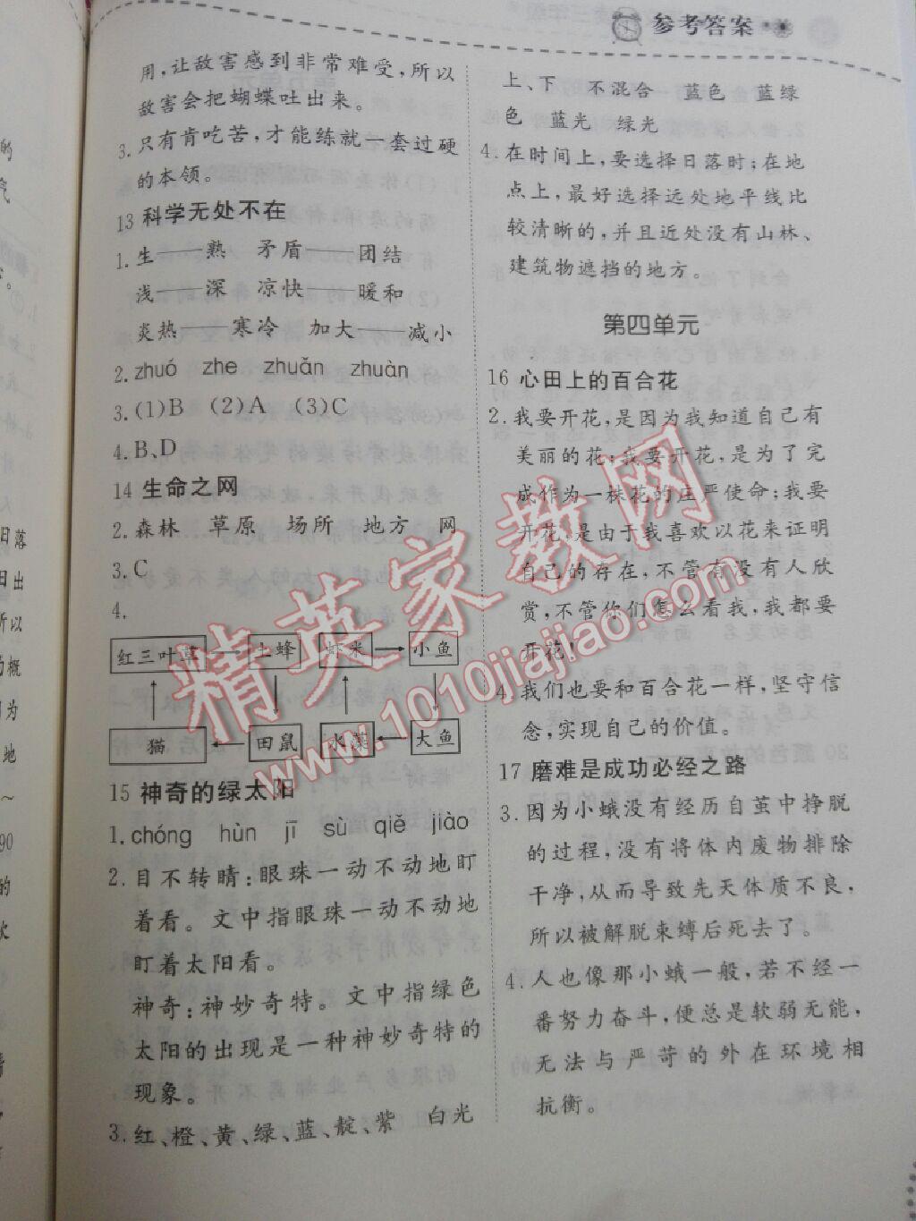 2017年暑假樂園三年級語文閱讀遼寧師范大學(xué)出版社 參考答案第4頁