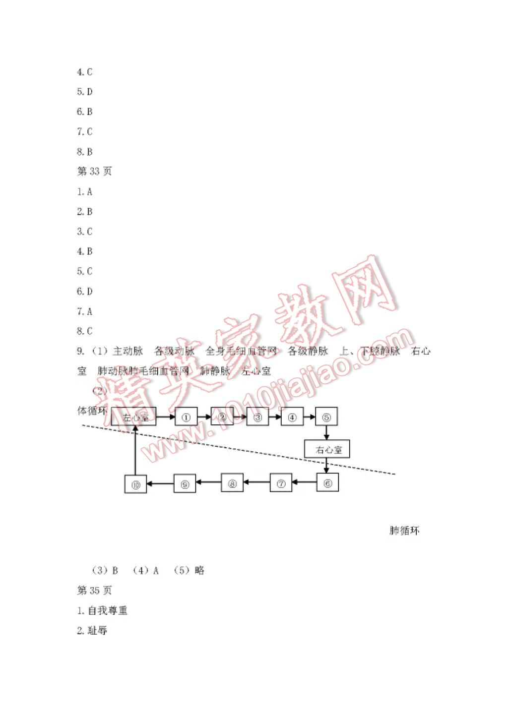 2017年暑假Happy假日六年級(jí)綜合五四制 參考答案第6頁