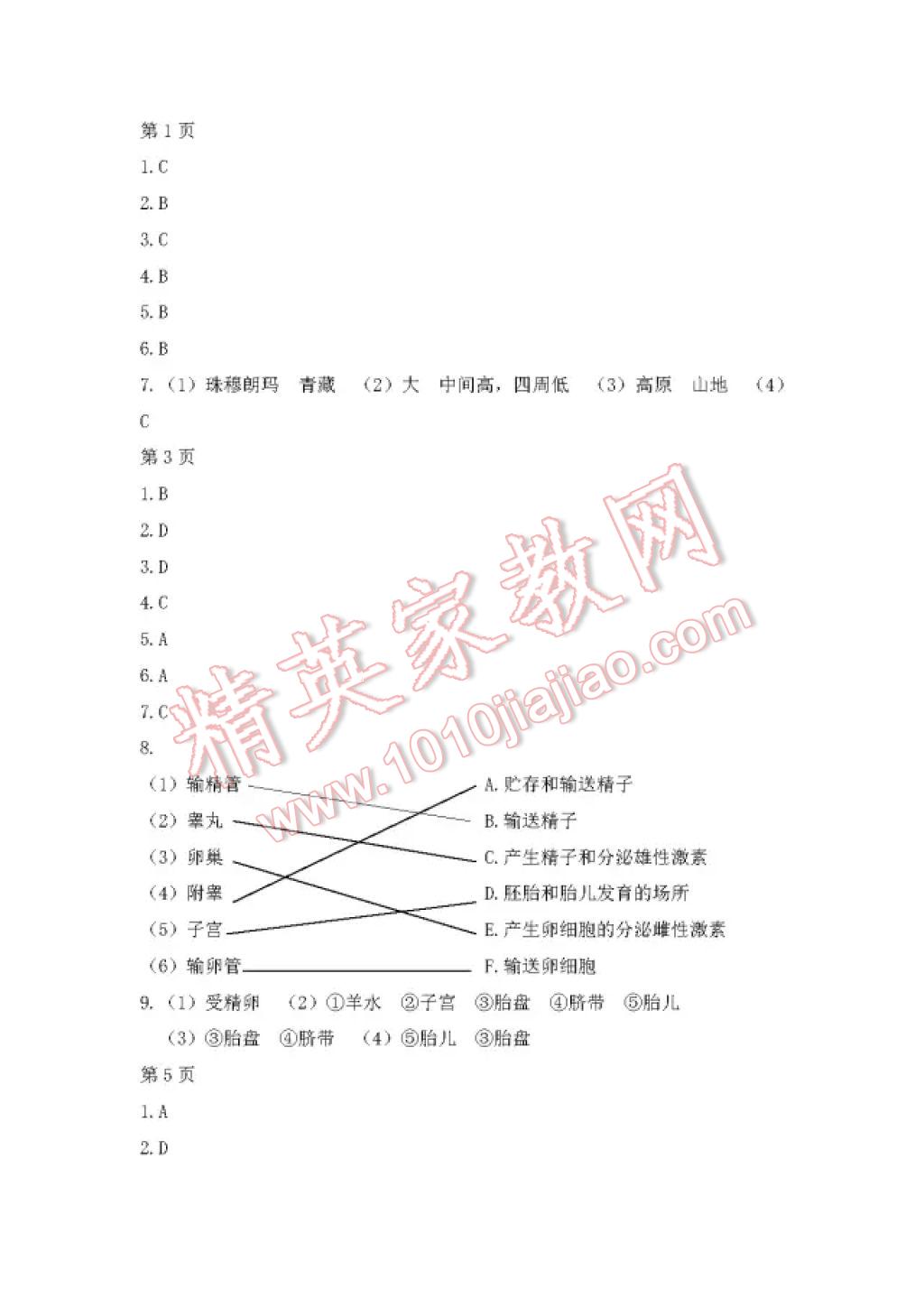 2017年暑假Happy假日六年级综合五四制七台河专用 参考答案第1页