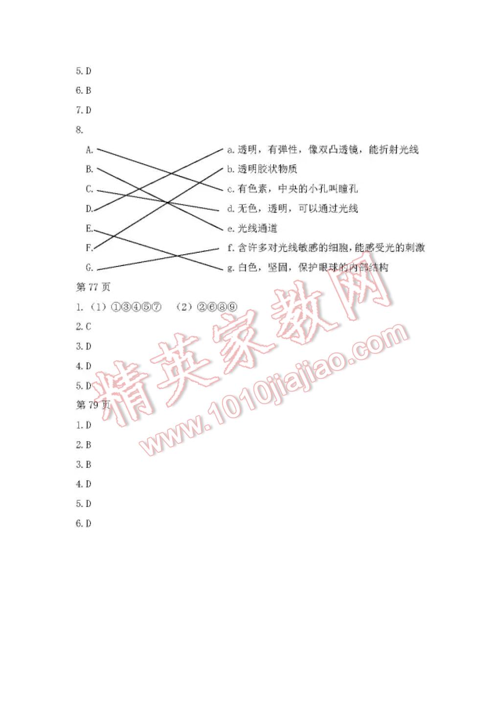 2017年暑假Happy假日六年級綜合五四制七臺河專用 參考答案第14頁